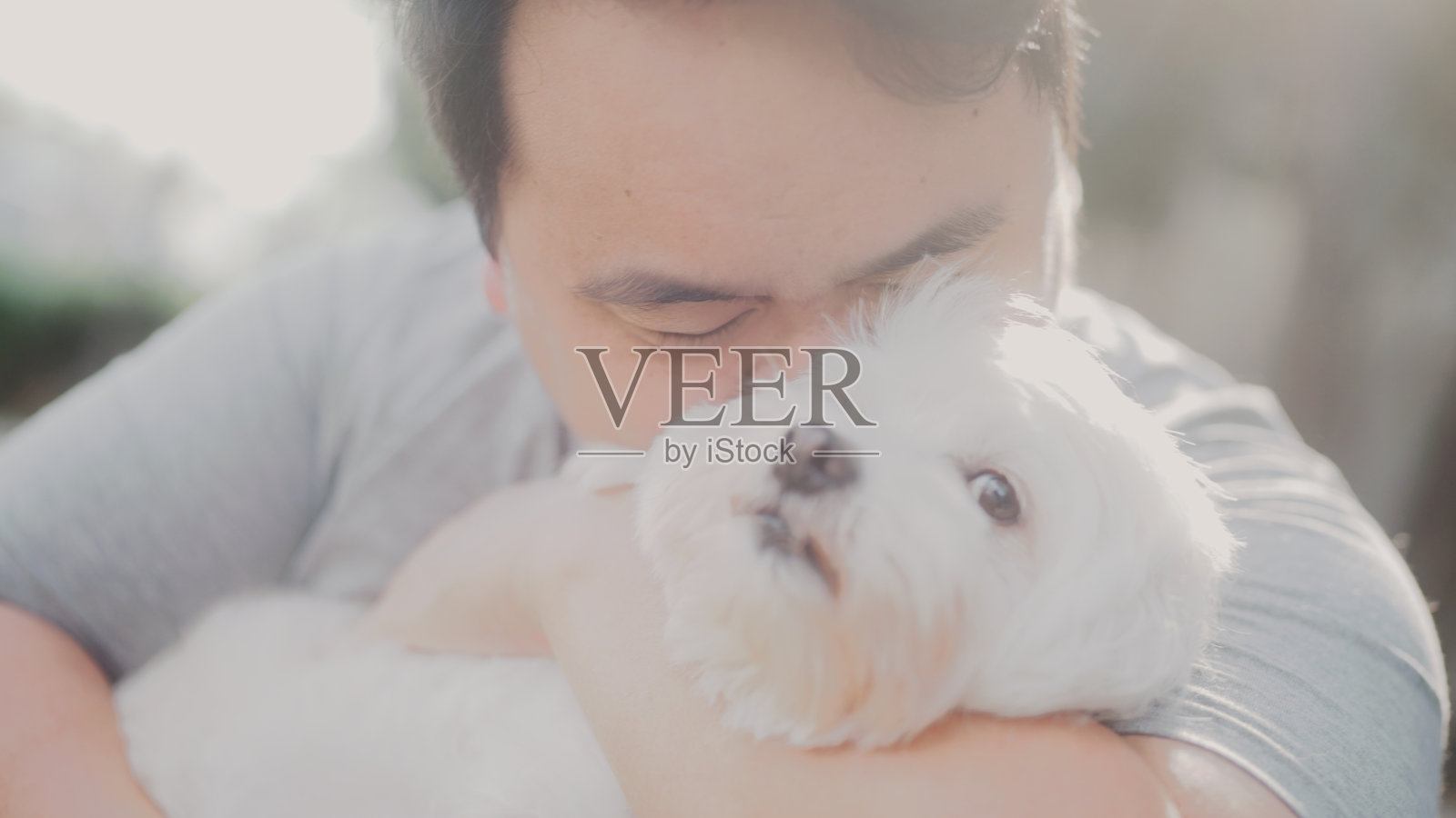 亚洲男人向狗狗示爱照片摄影图片