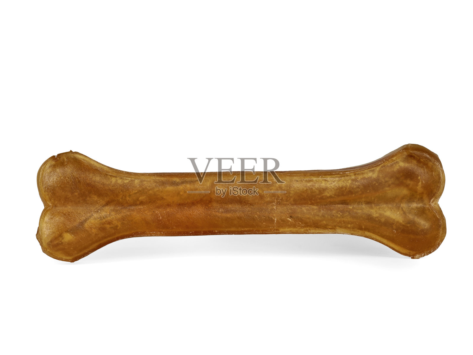 狗嚼骨头孤立在白色背景照片摄影图片