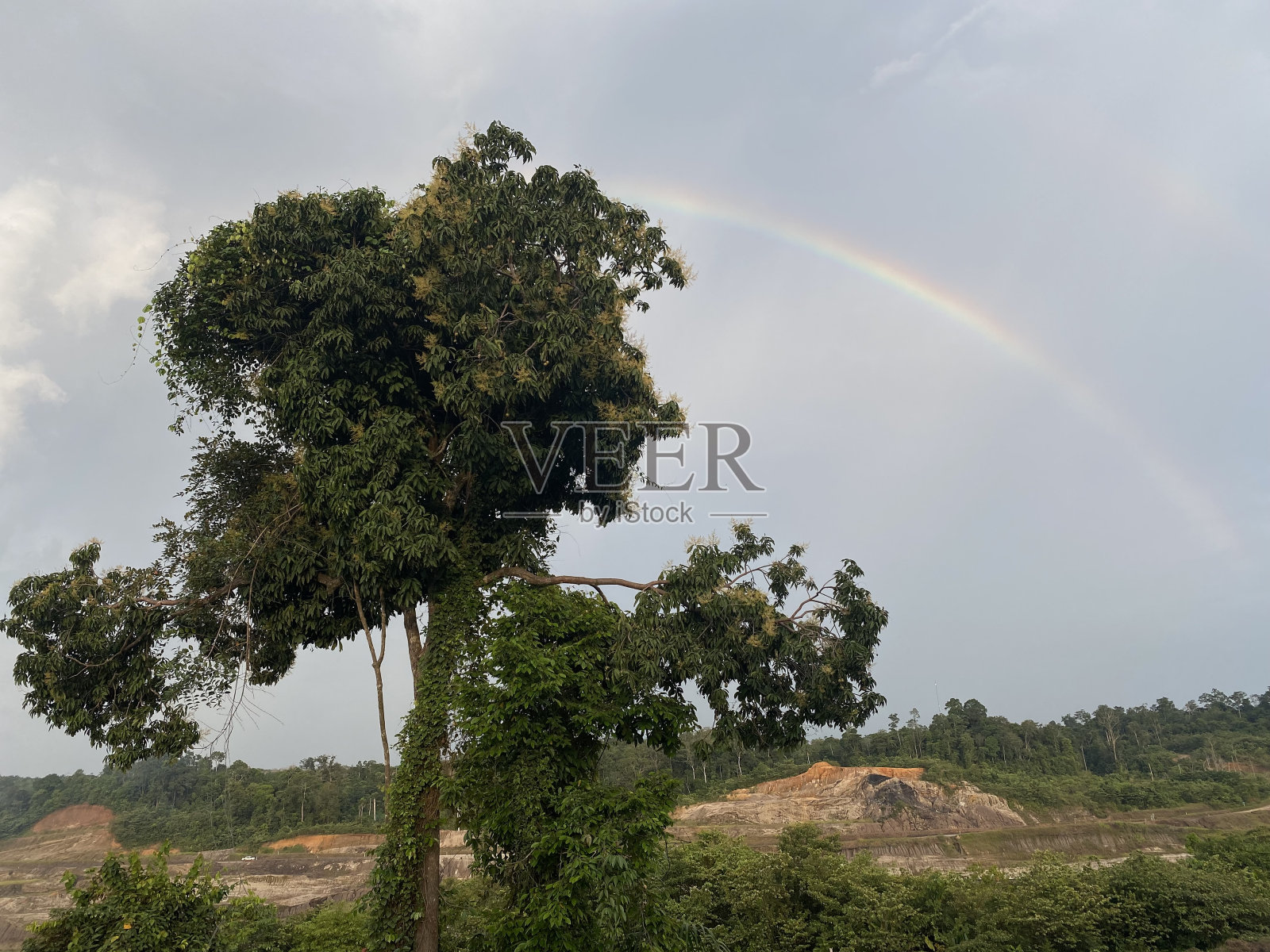我的彩虹照片摄影图片
