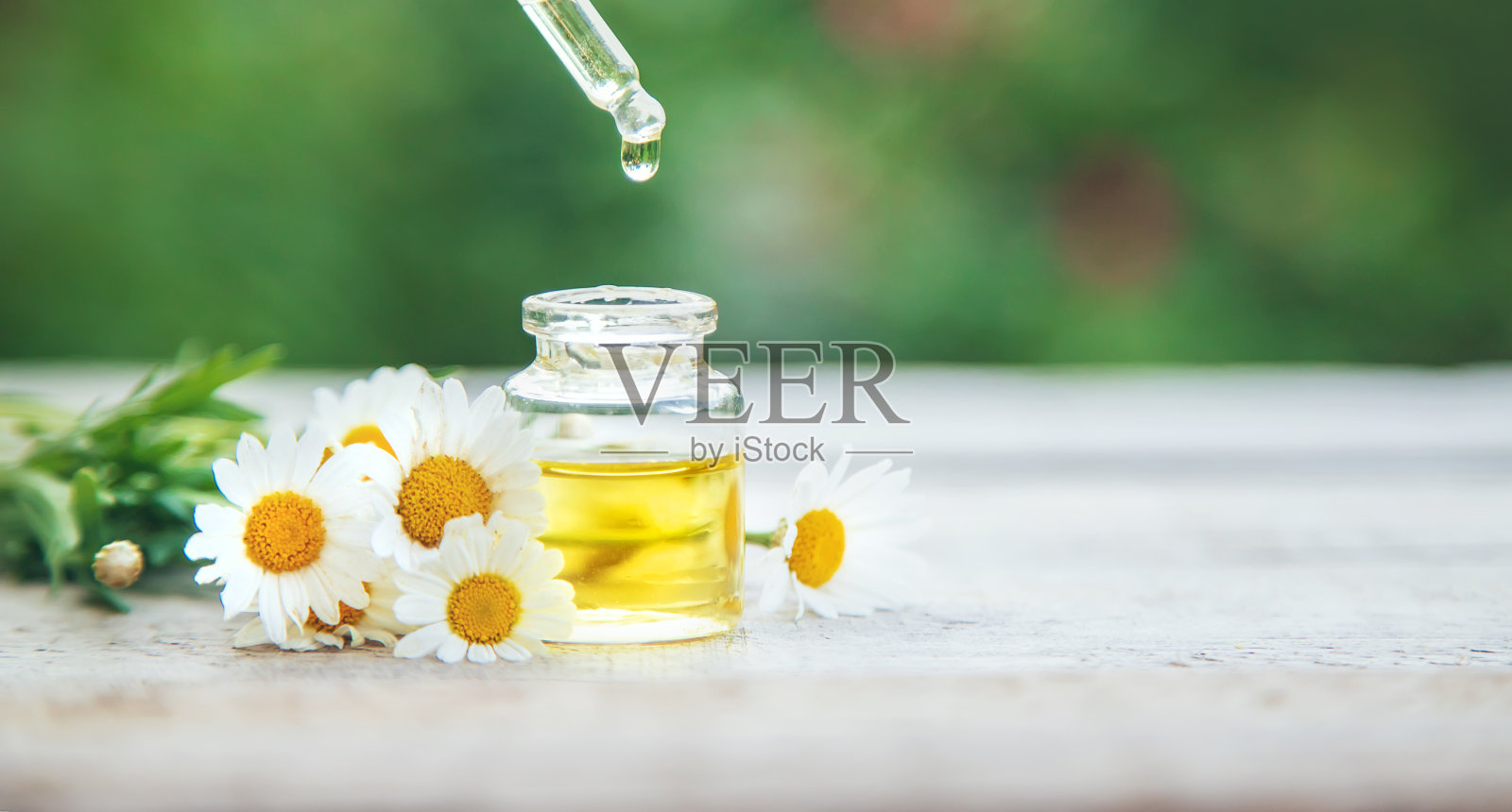 小瓶洋甘菊精油。有选择性的重点。照片摄影图片