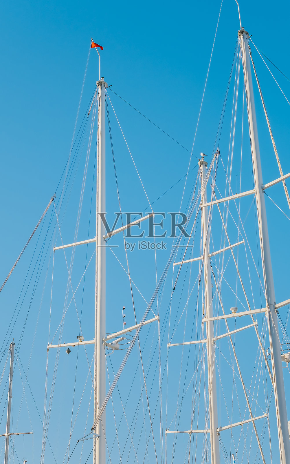 比赛游艇的轮廓在码头的背景下晴空，垂直的框架，关于游艇的背景或新闻的想法照片摄影图片