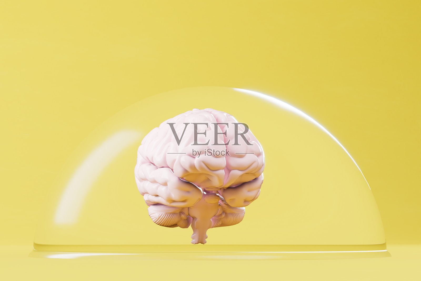 保护大脑不受外界影响。黄色背景的透明玻璃球中的大脑。三维渲染照片摄影图片
