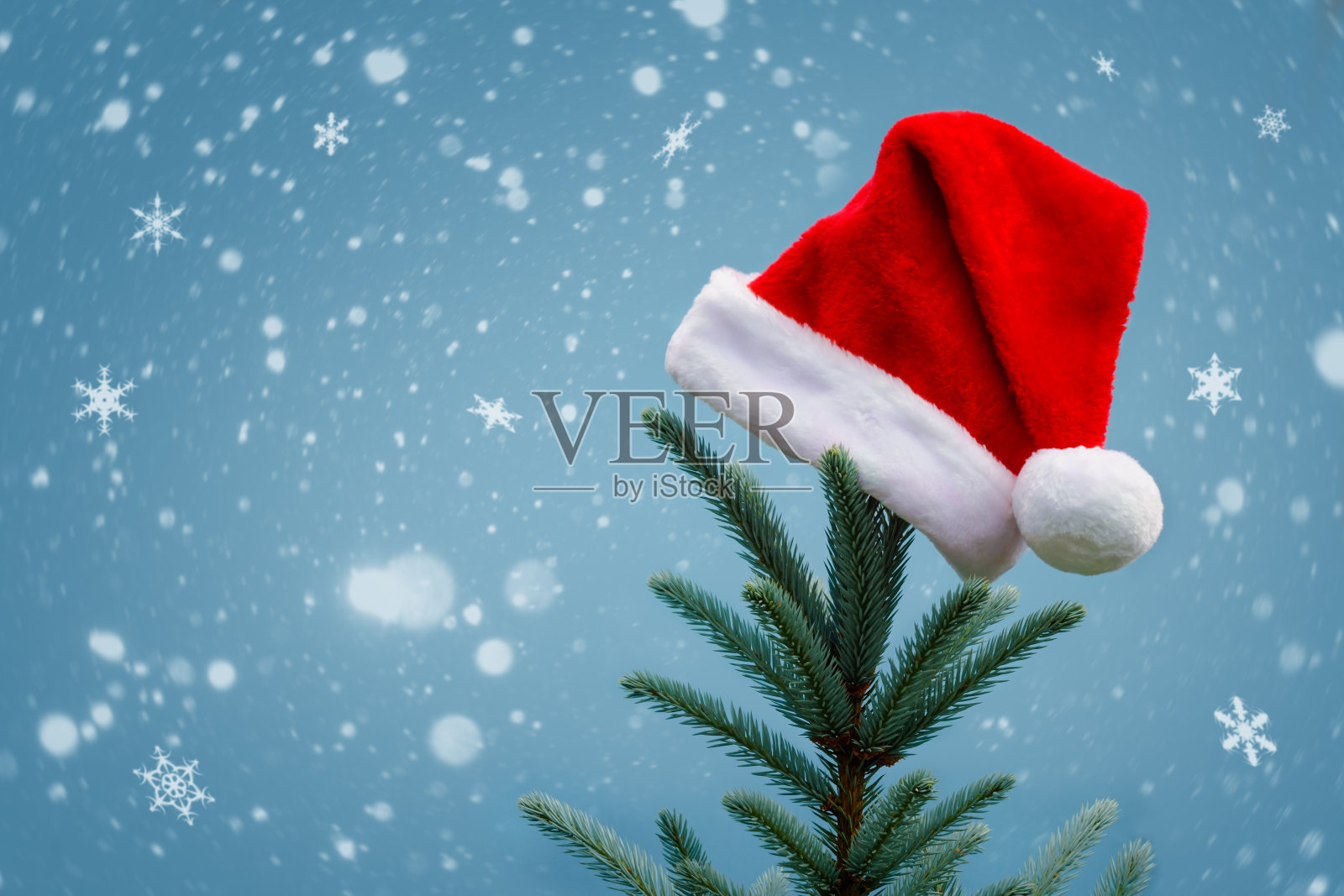 蓝色背景上装饰着圣诞老人帽子的云杉树。照片摄影图片