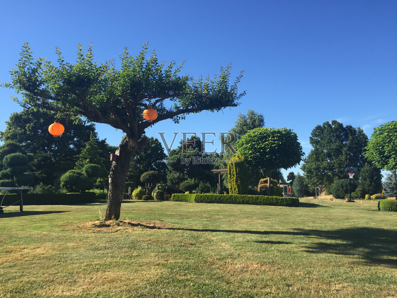 法国的夏天照片摄影图片