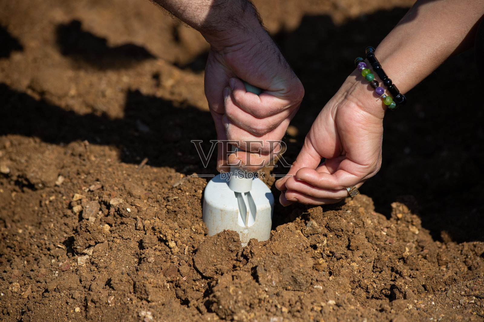 双手将种子播种到土壤中照片摄影图片