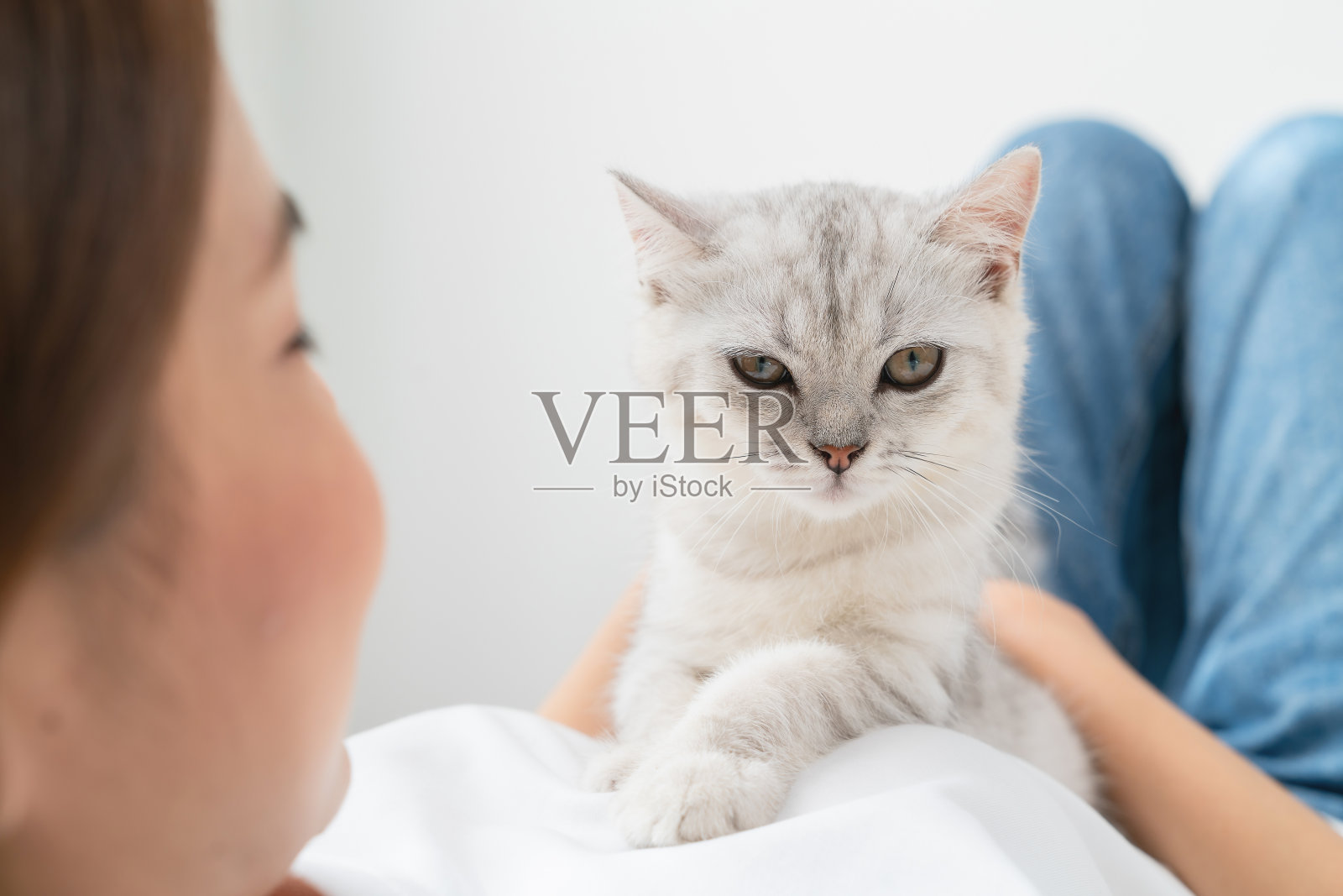 女人坐在床上，在房间里玩苏格兰小猫。照片摄影图片