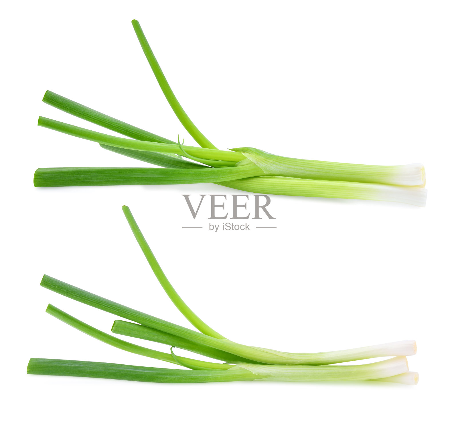 绿色的洋葱孤立在白色的背景照片摄影图片