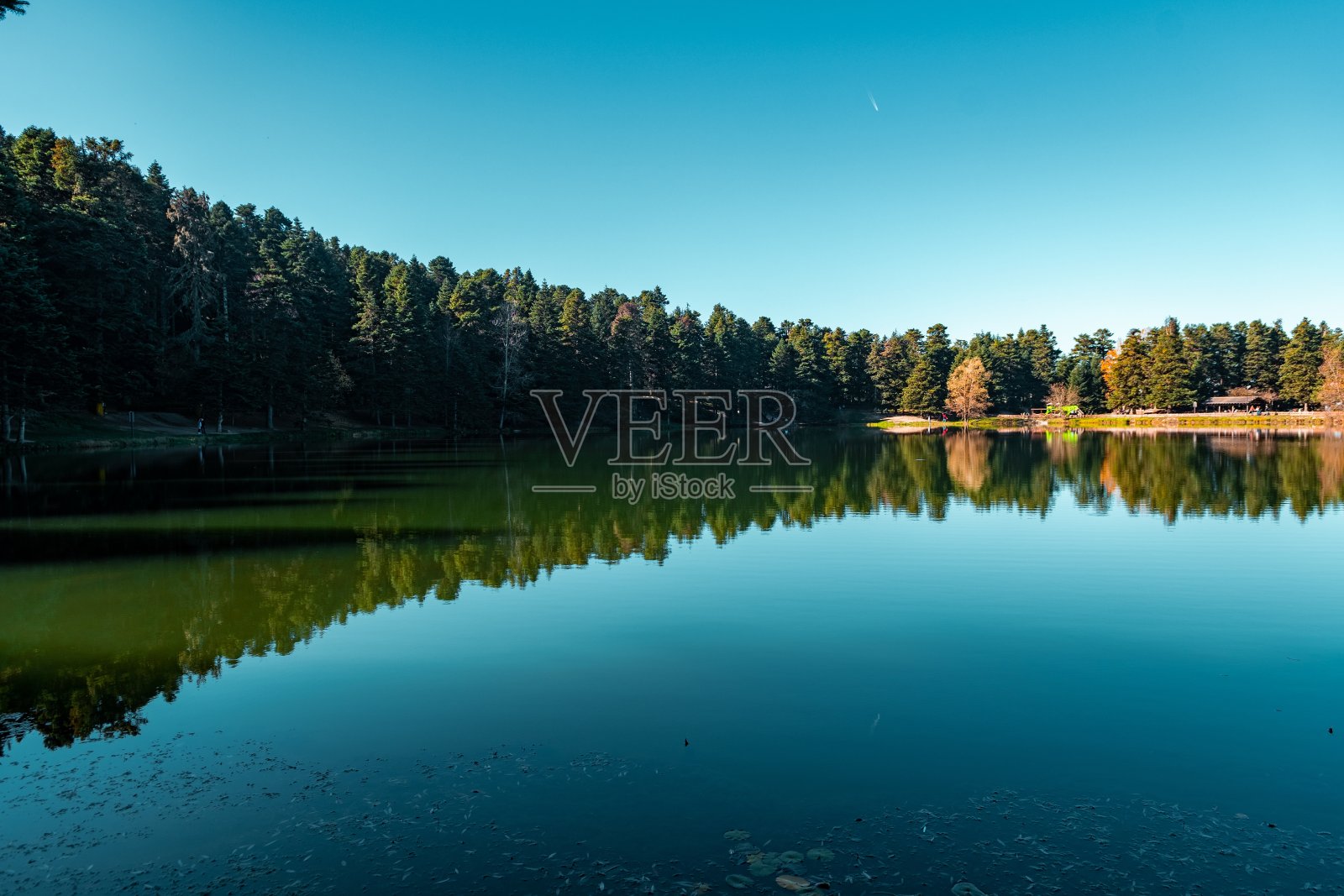 蓝天下俄罗斯维博斯基舒瓦洛夫斯基公园的航拍照片摄影图片