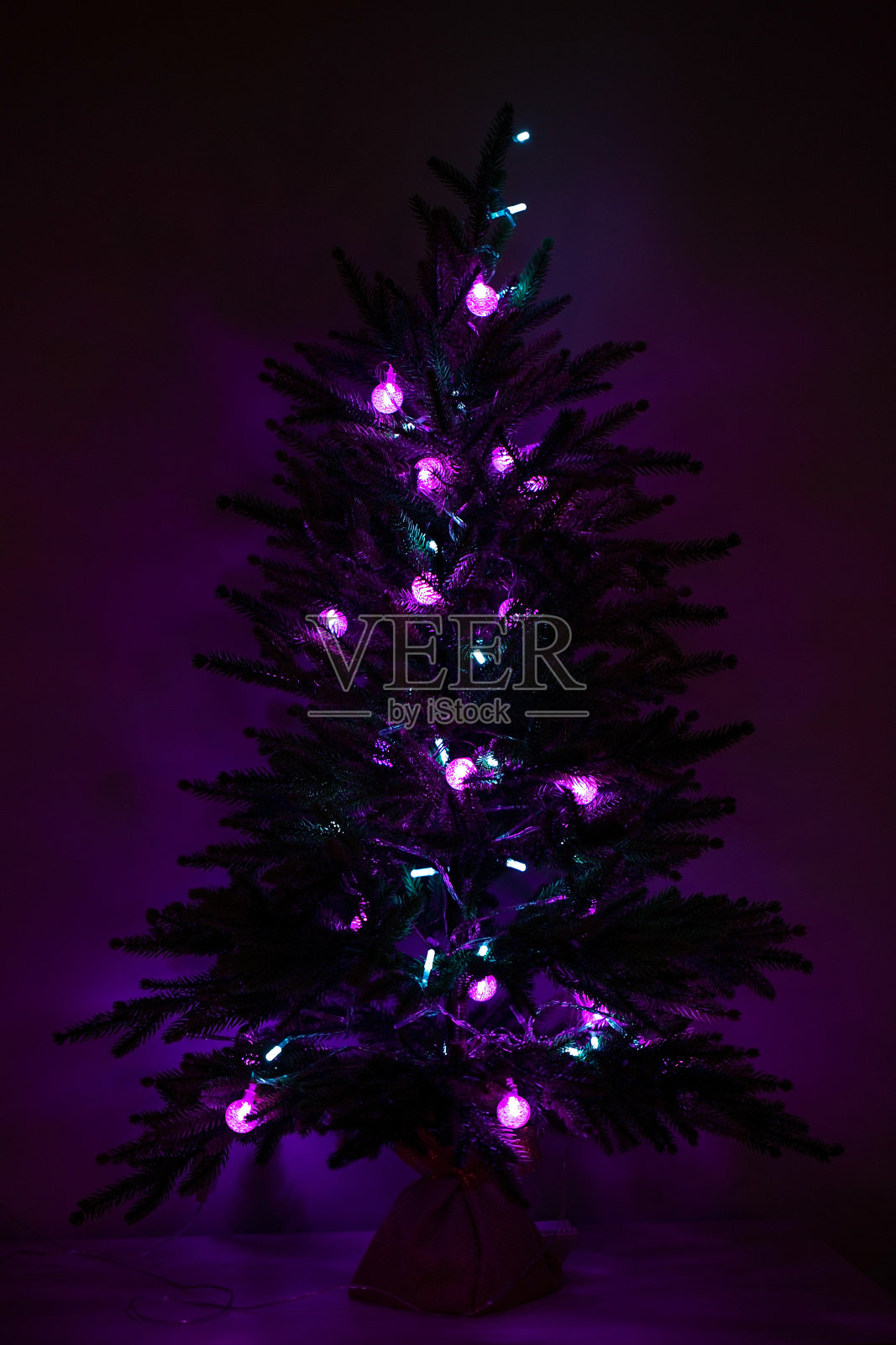 在一个黑暗的房间里，挂着紫色和蓝色LED灯的圣诞树树枝照片摄影图片