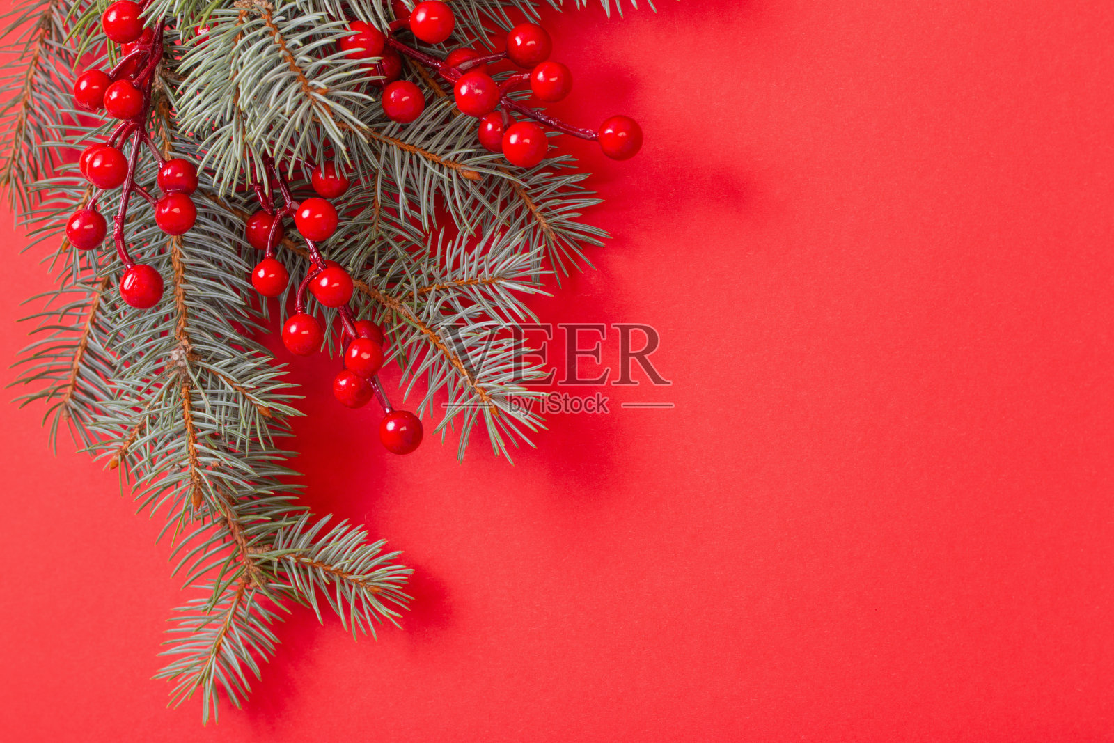 红色圣诞背景下的绿色冷杉树枝照片摄影图片