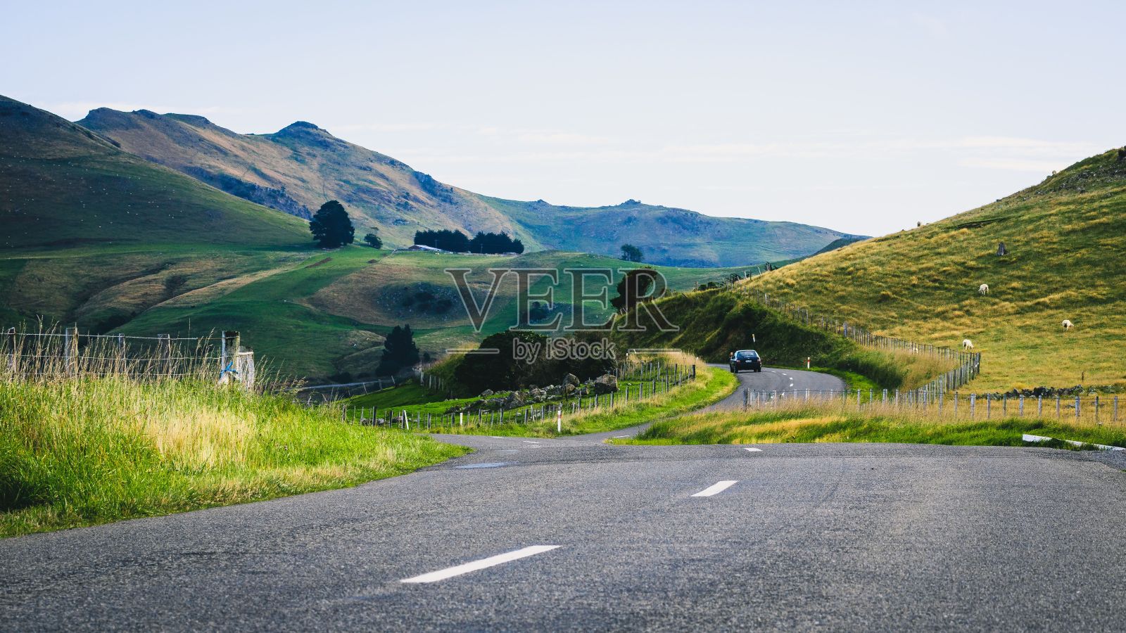 新西兰班克斯半岛，在绿色草地和群山前的高速公路上行驶的汽车照片摄影图片