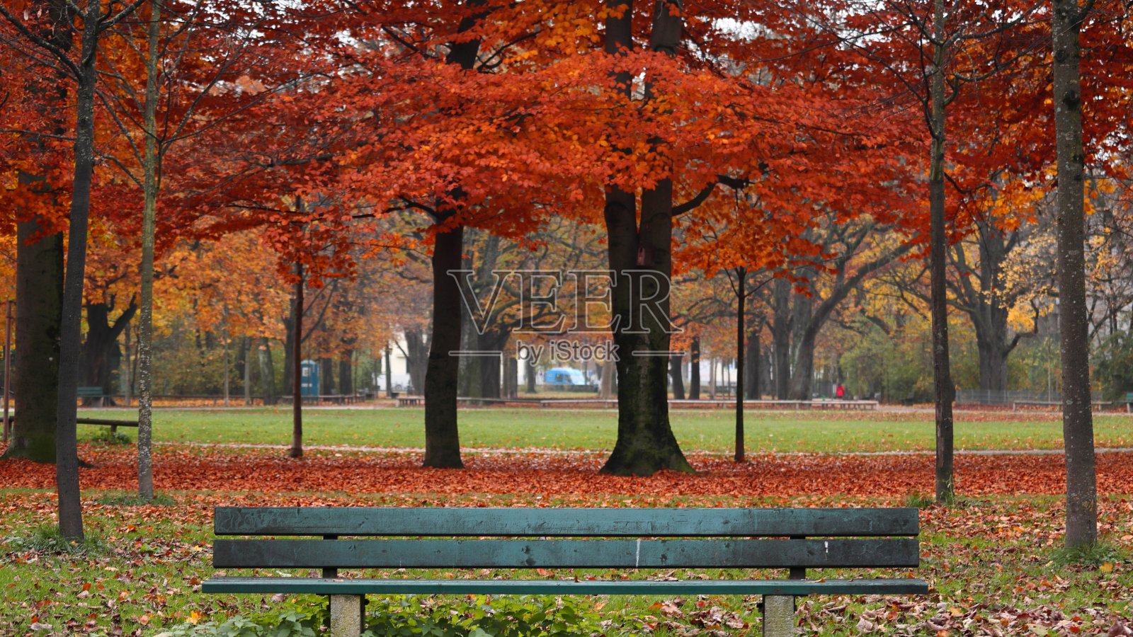 秋天的时候，公园周围是五颜六色的树叶和树木，还有一个木长椅照片摄影图片
