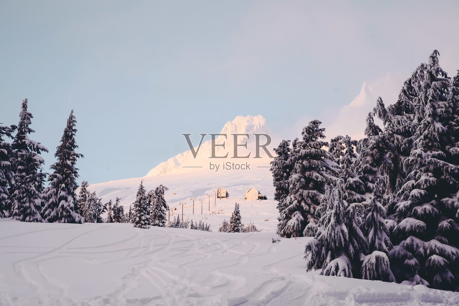 在晴朗的天空下，山上满是白雪、云杉和小木屋照片摄影图片