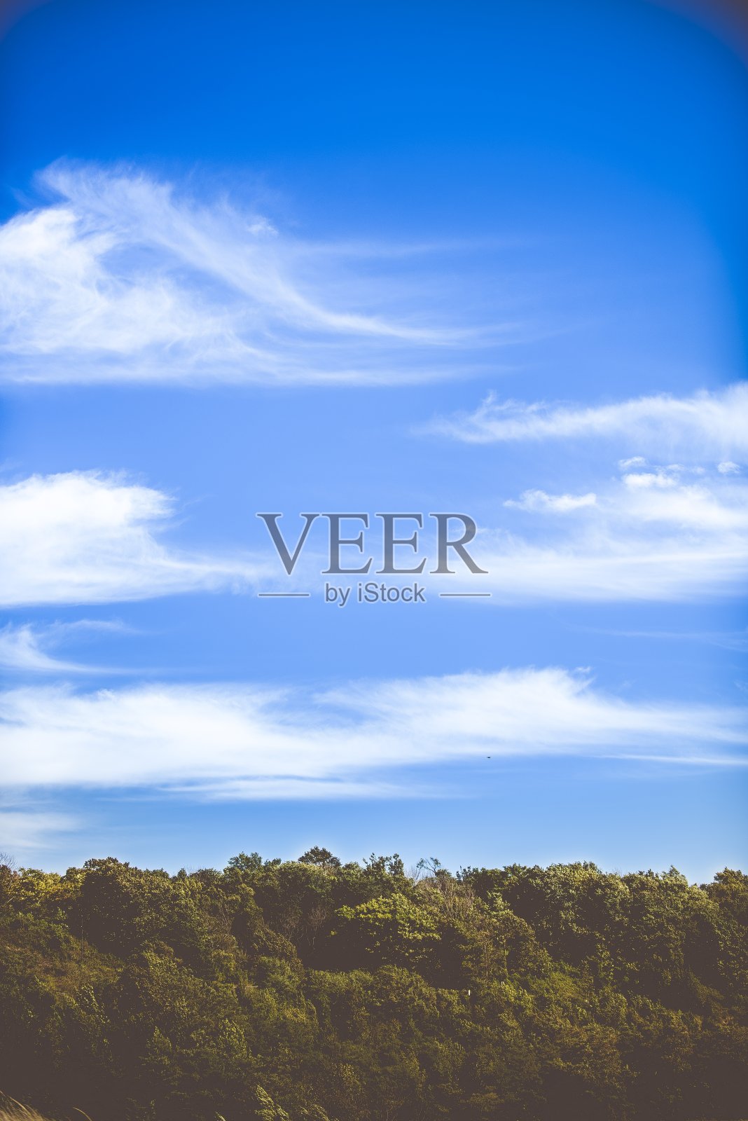 垂直拍摄的森林丘陵与蓝色的多云的天空为背景照片摄影图片