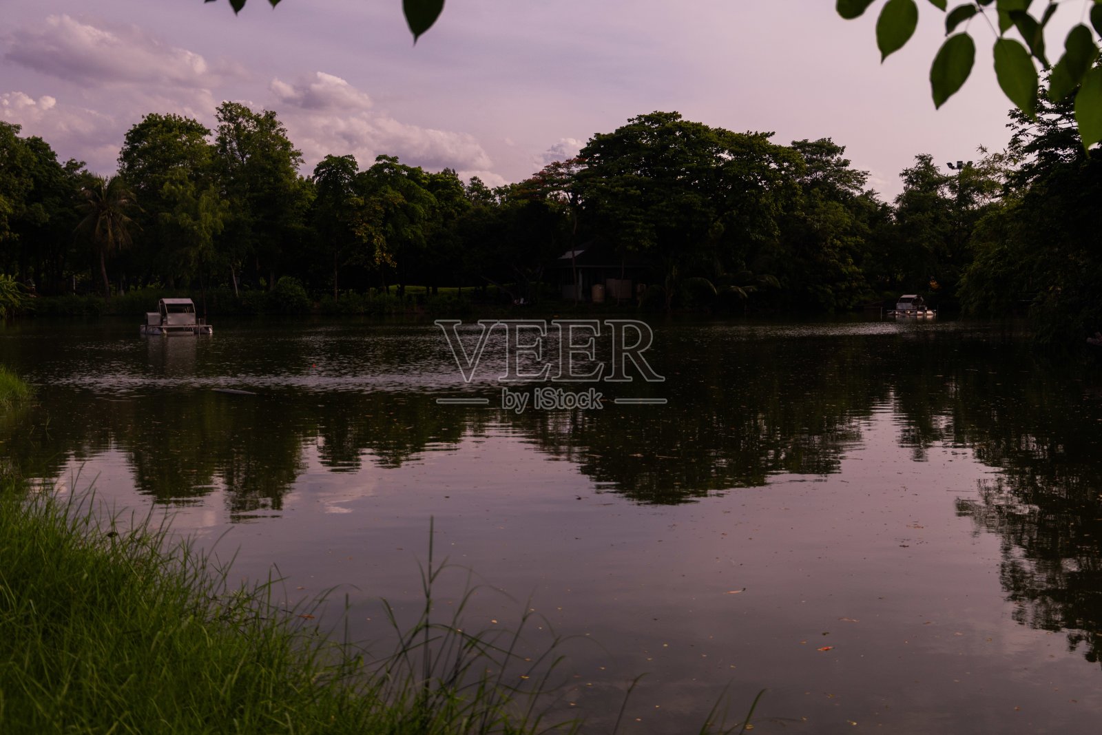 湖边绿树绿草的宽阔美景照片摄影图片