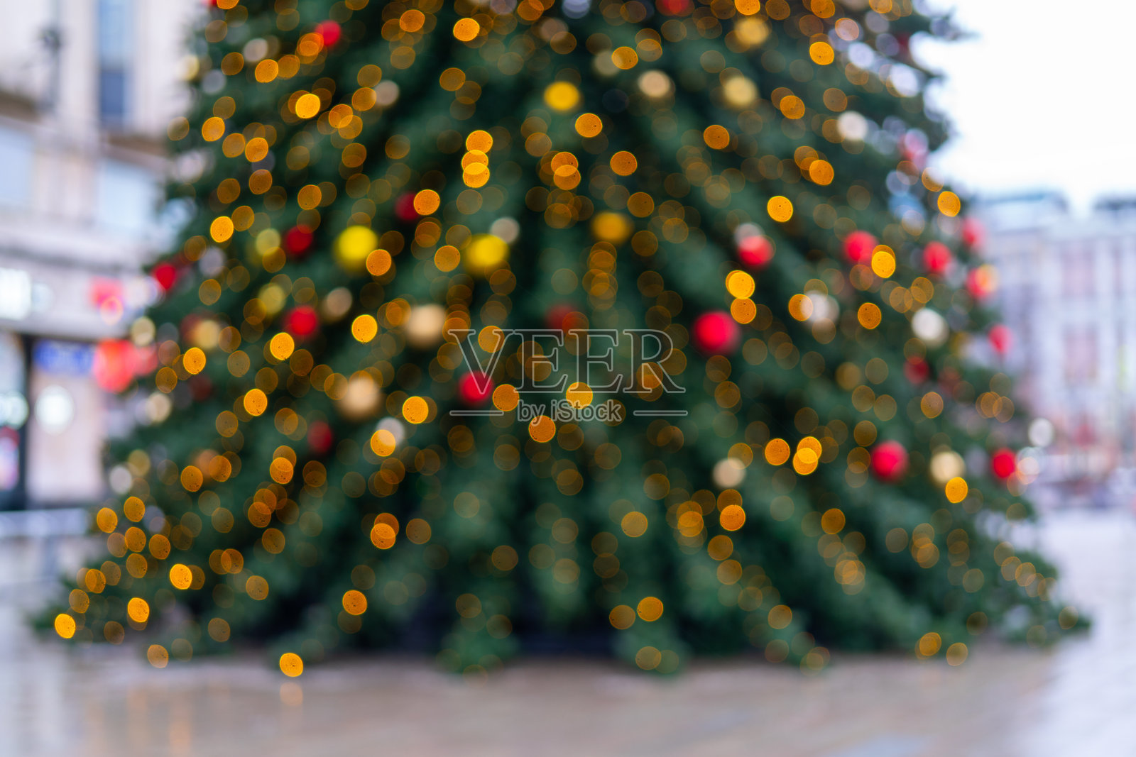 模糊的节日装饰美丽的树枝照片摄影图片