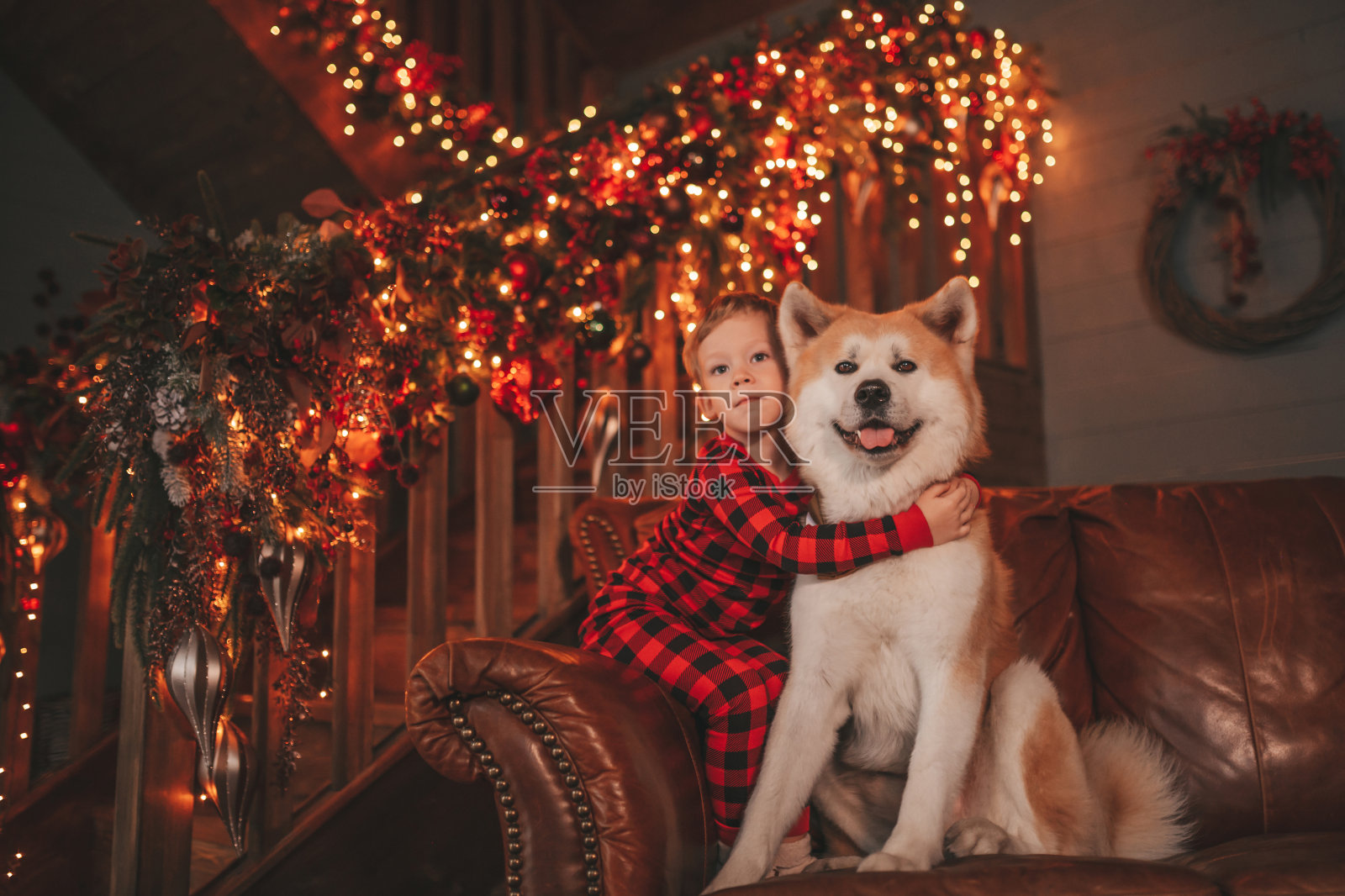 真诚真实的快乐小男孩在红色格纹睡衣拥抱狗与领结在小屋圣诞装饰照片摄影图片