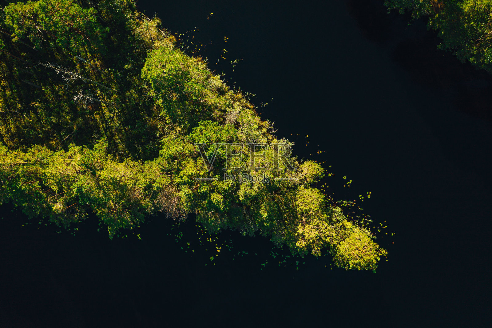 航拍的被树木包围的平静的湖岛照片摄影图片