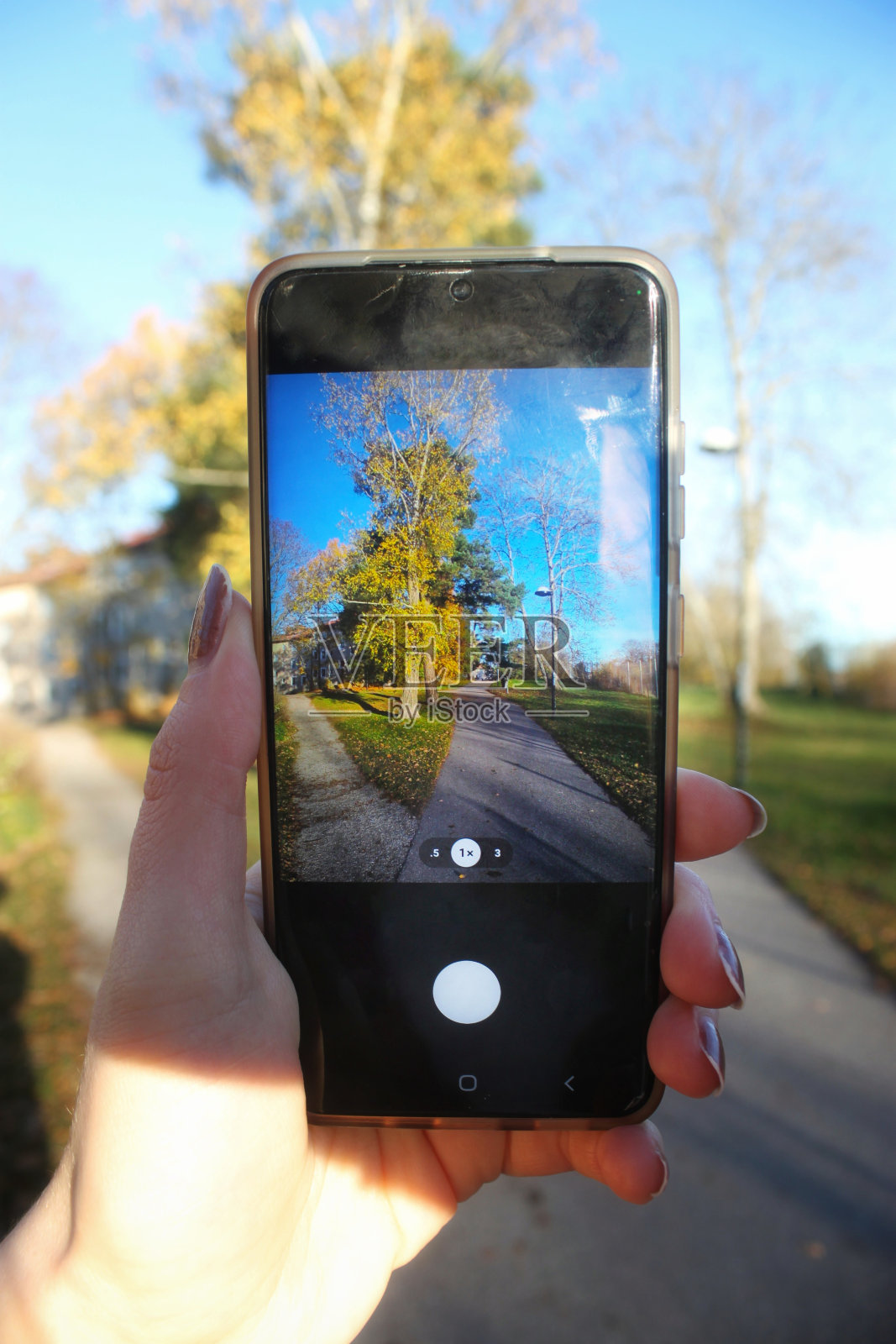 快照照片摄影图片