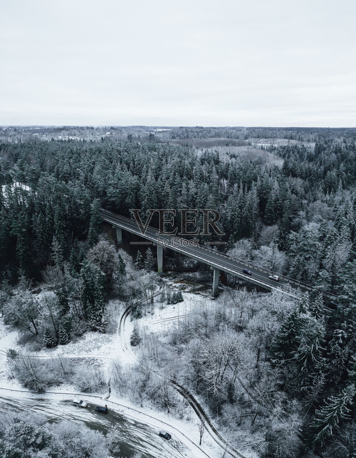 被茂盛植被环绕的一座桥的垂直镜头。冬天的风景。照片摄影图片
