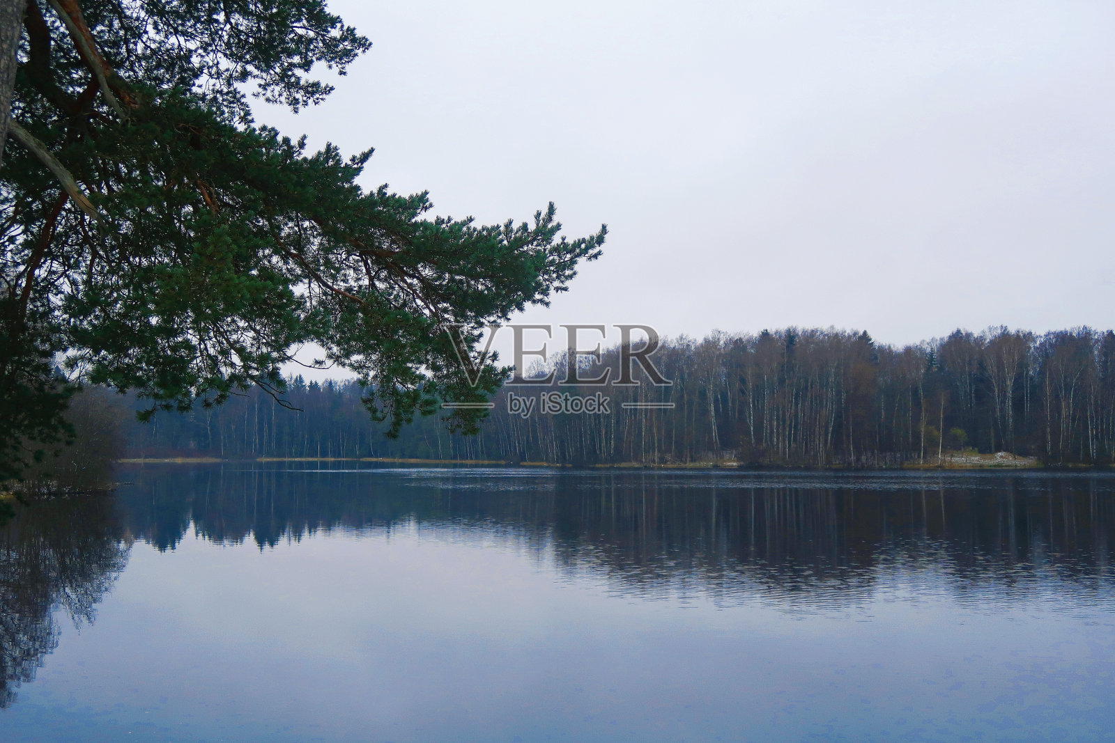 自然照片摄影图片