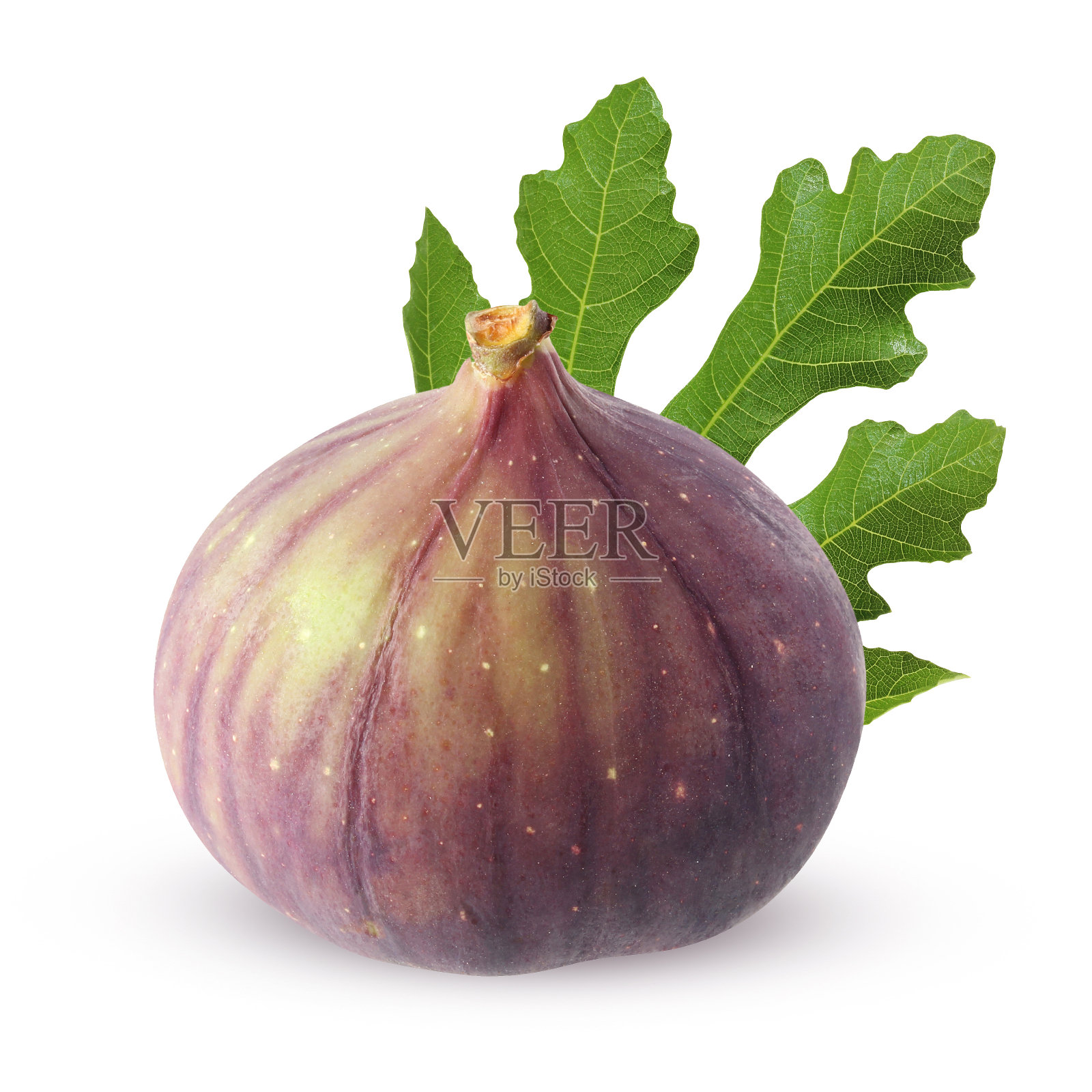 孤立的无花果在白色背景与修剪路径。带叶的整个水果。照片摄影图片