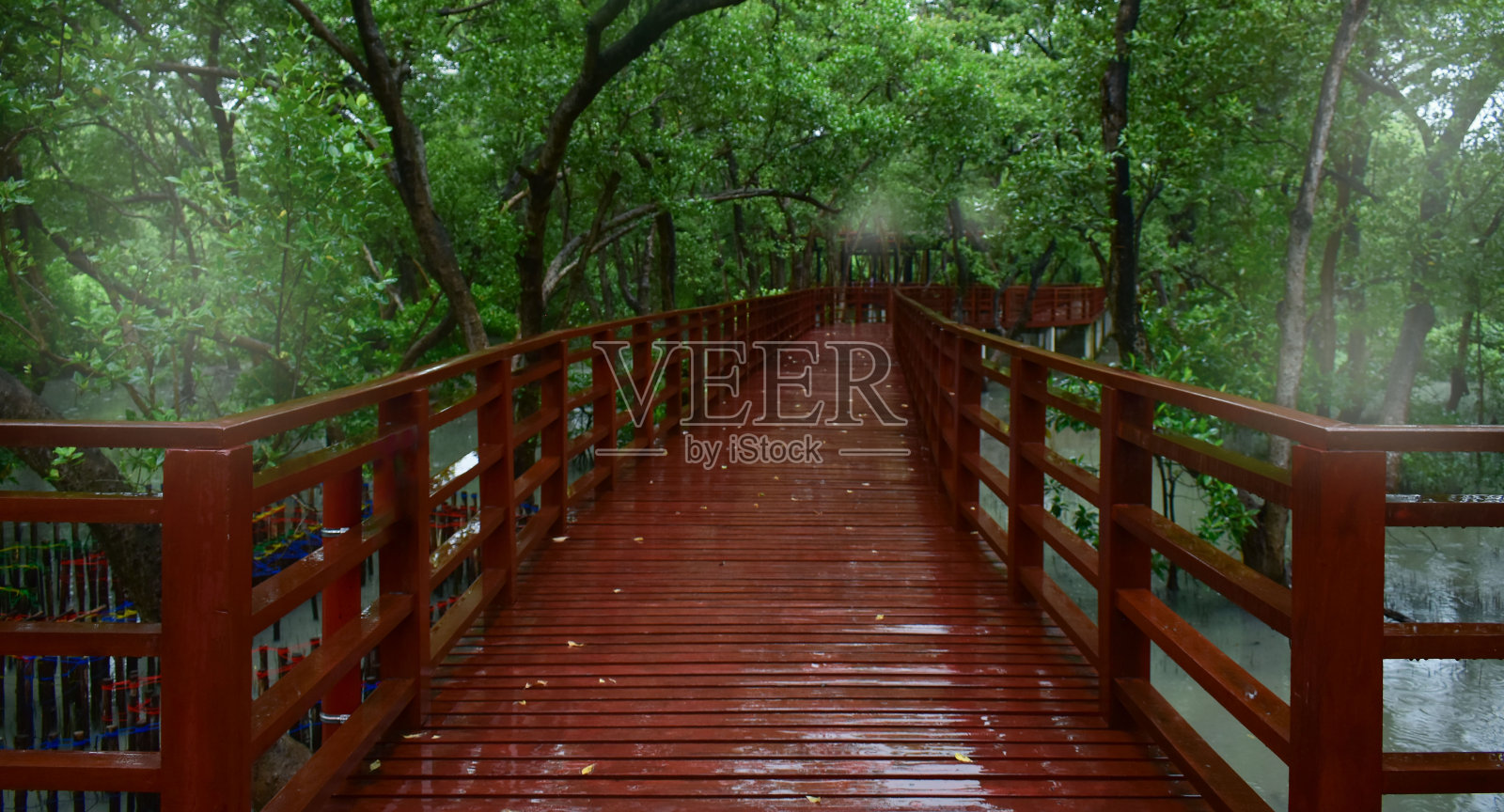 木桥雨雾绿树照片摄影图片