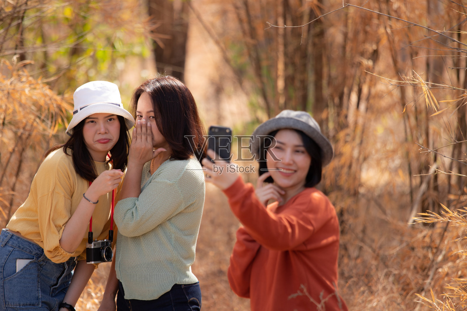 八卦,欺负照片摄影图片