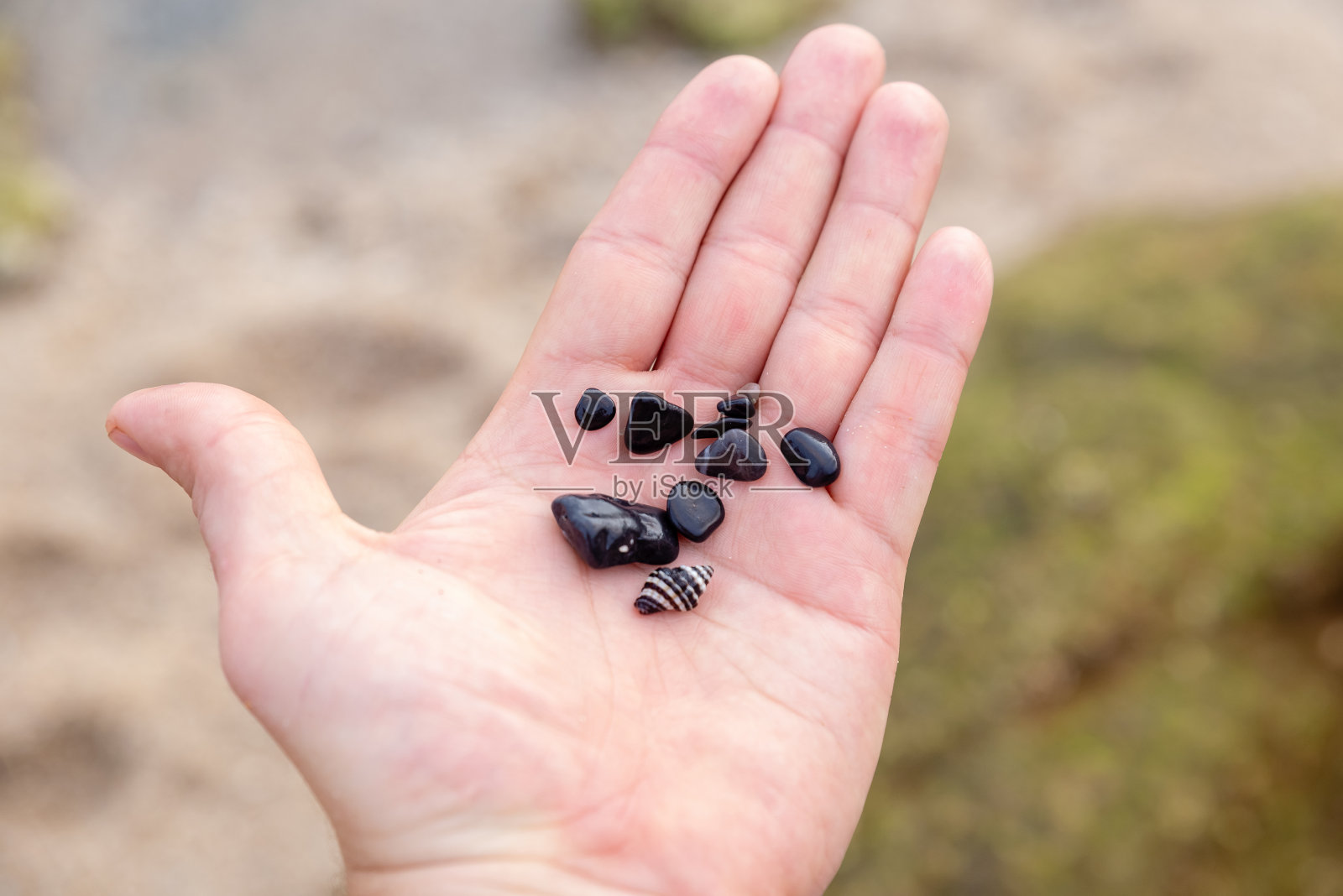 手掌上的黑色海石照片摄影图片