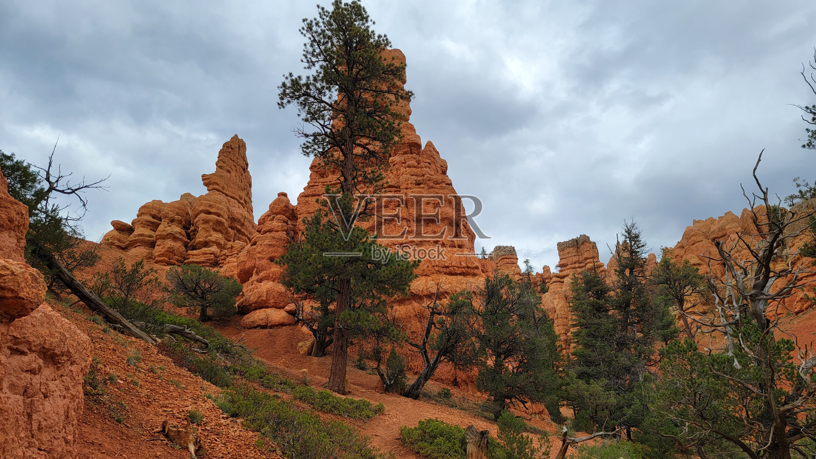 犹他州布莱斯峡谷——2022年9月照片摄影图片