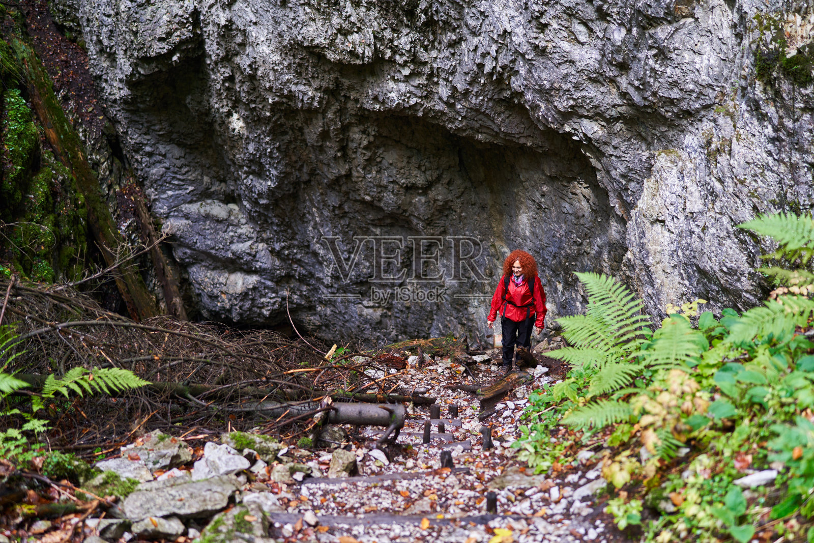 自然摄影师徒步在山上的松林照片摄影图片