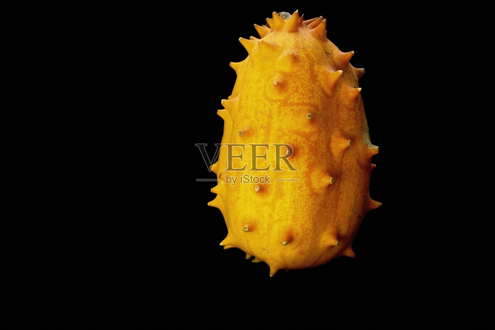 特写拍摄的美味的火参野水果孤立在黑色背景照片摄影图片