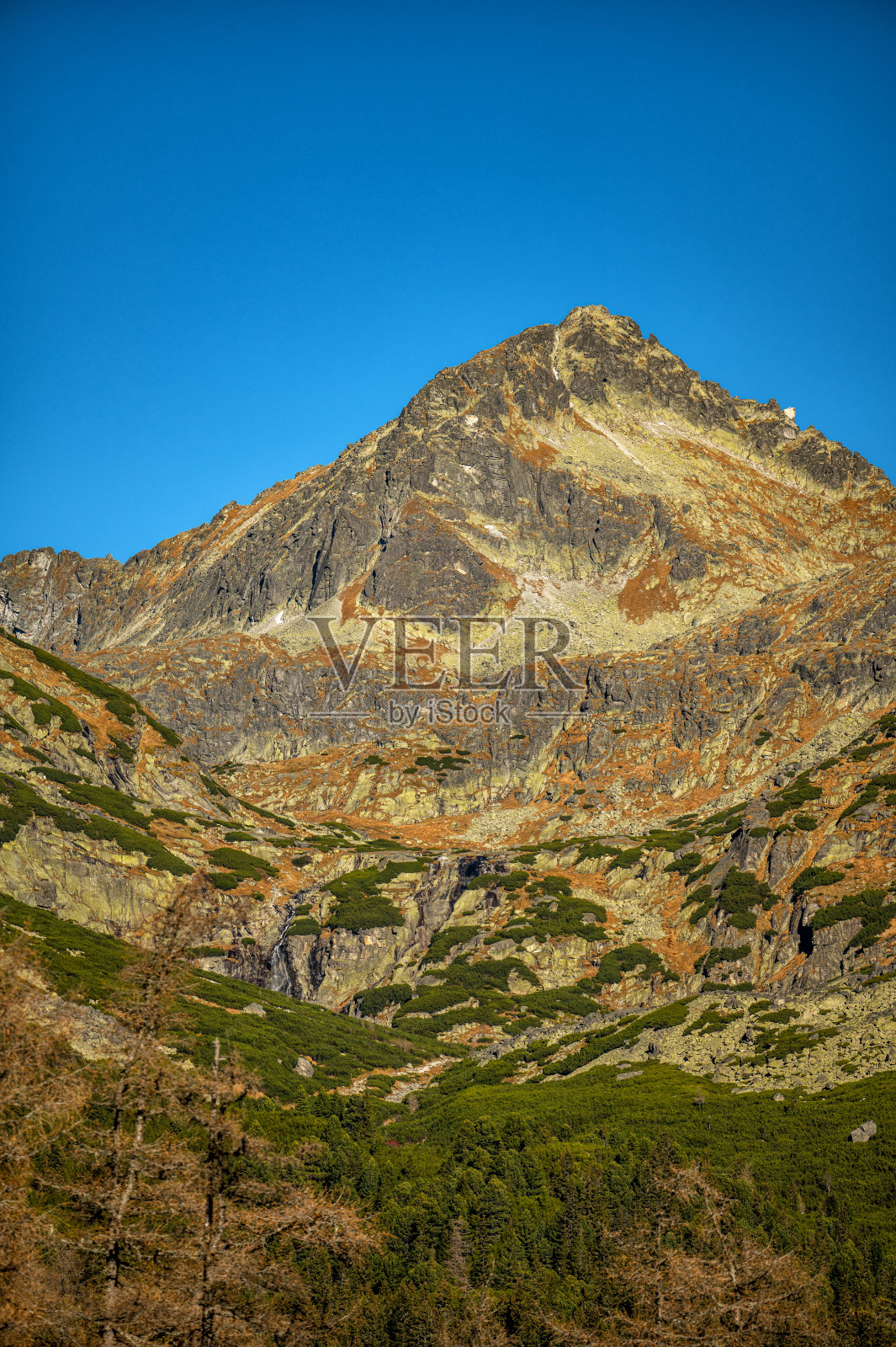 斯洛伐克塔特拉国家公园的岩石山峰。照片摄影图片