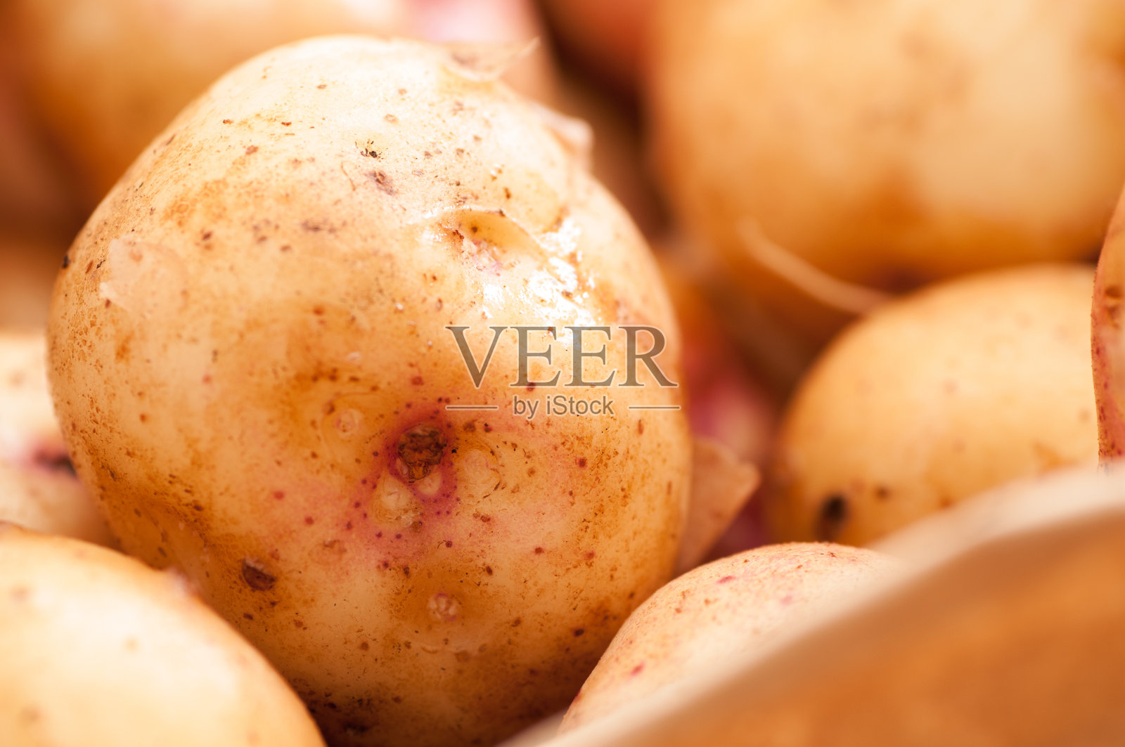 一堆新鲜土豆的特写镜头照片摄影图片