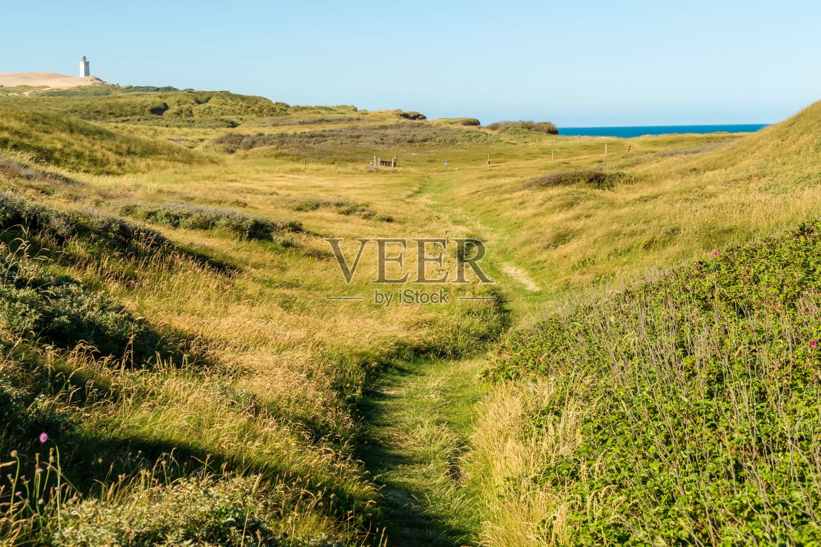 蓝色天空映衬下山丘上的Rubjerg Knude灯塔照片摄影图片