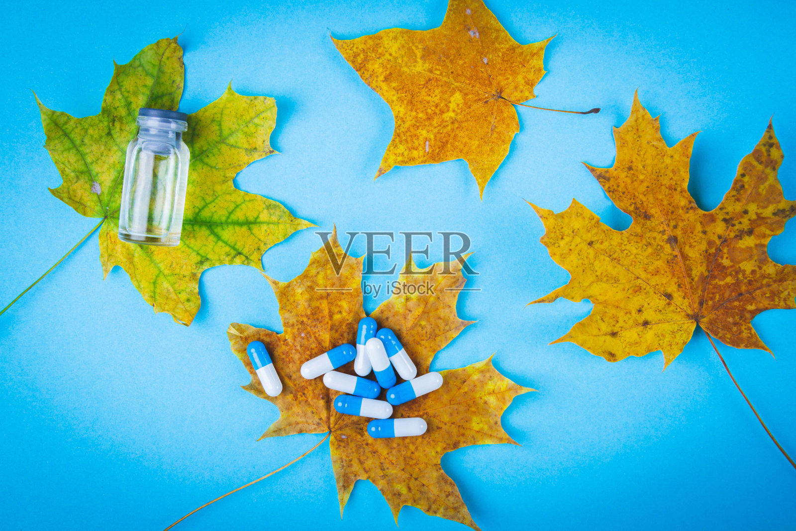片片落在秋叶上。秋天的枫叶和蓝色背景下的药品。照片摄影图片
