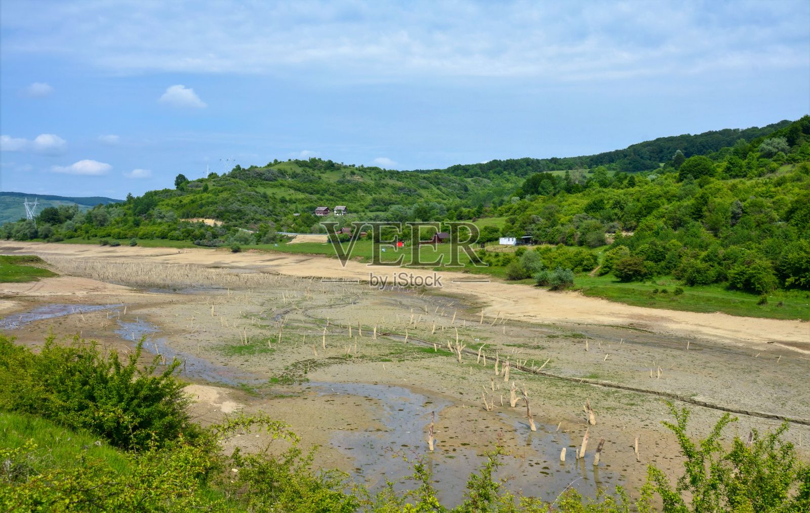 干涸的河床，绿意盎然照片摄影图片