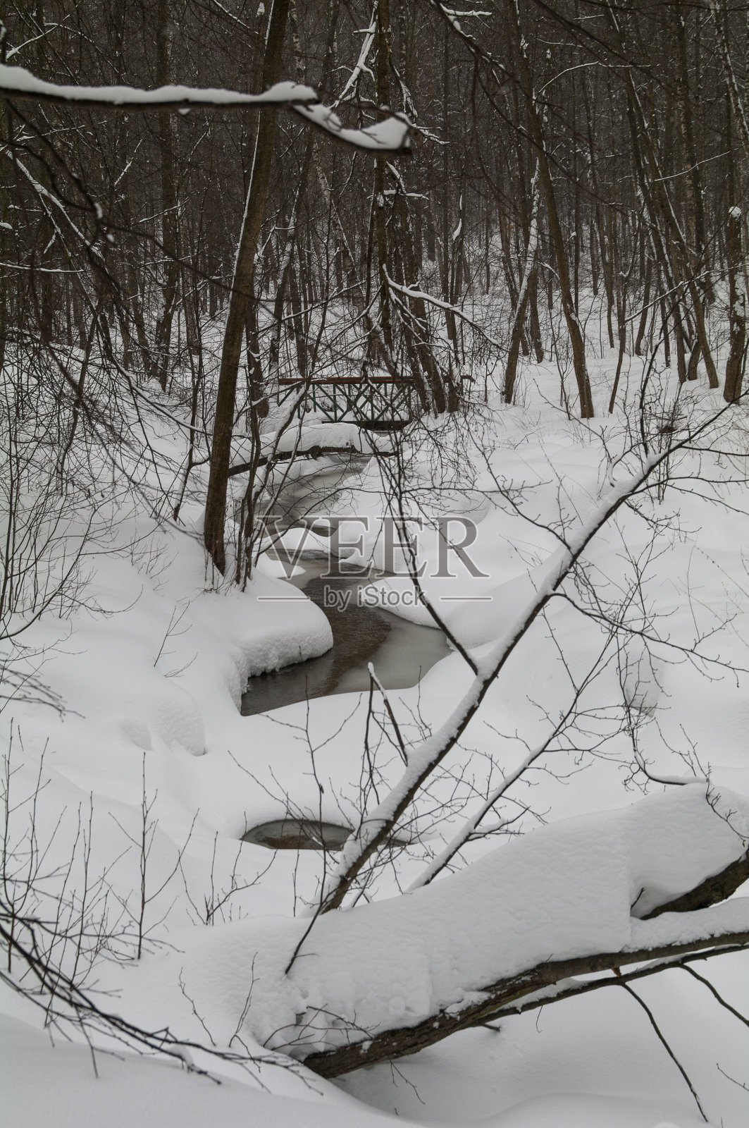 冬天森林里的一条小溪。照片摄影图片