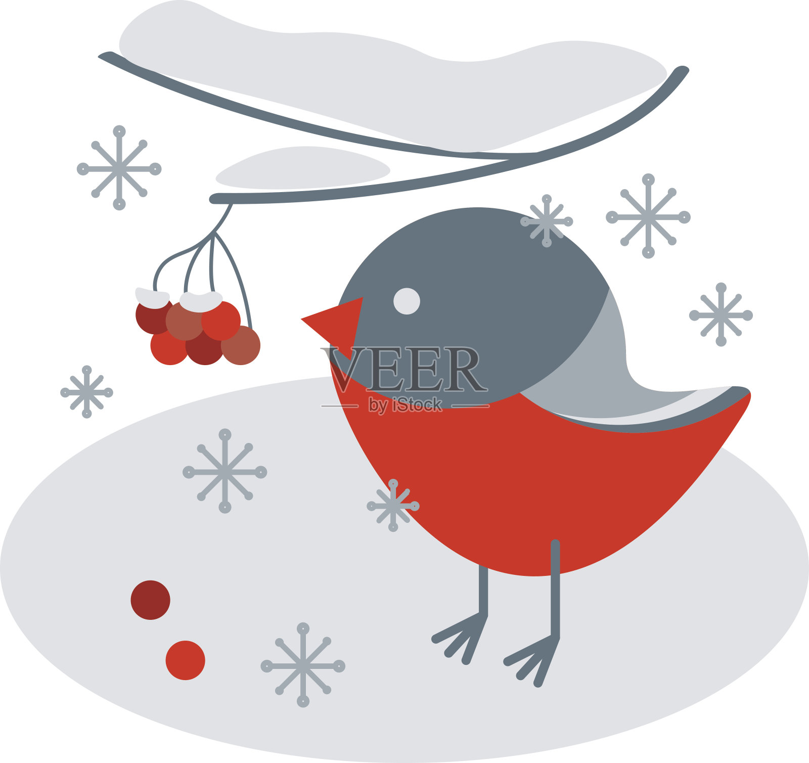 冬天的红腹雀，树枝上有花楸莓和雪花插画图片素材