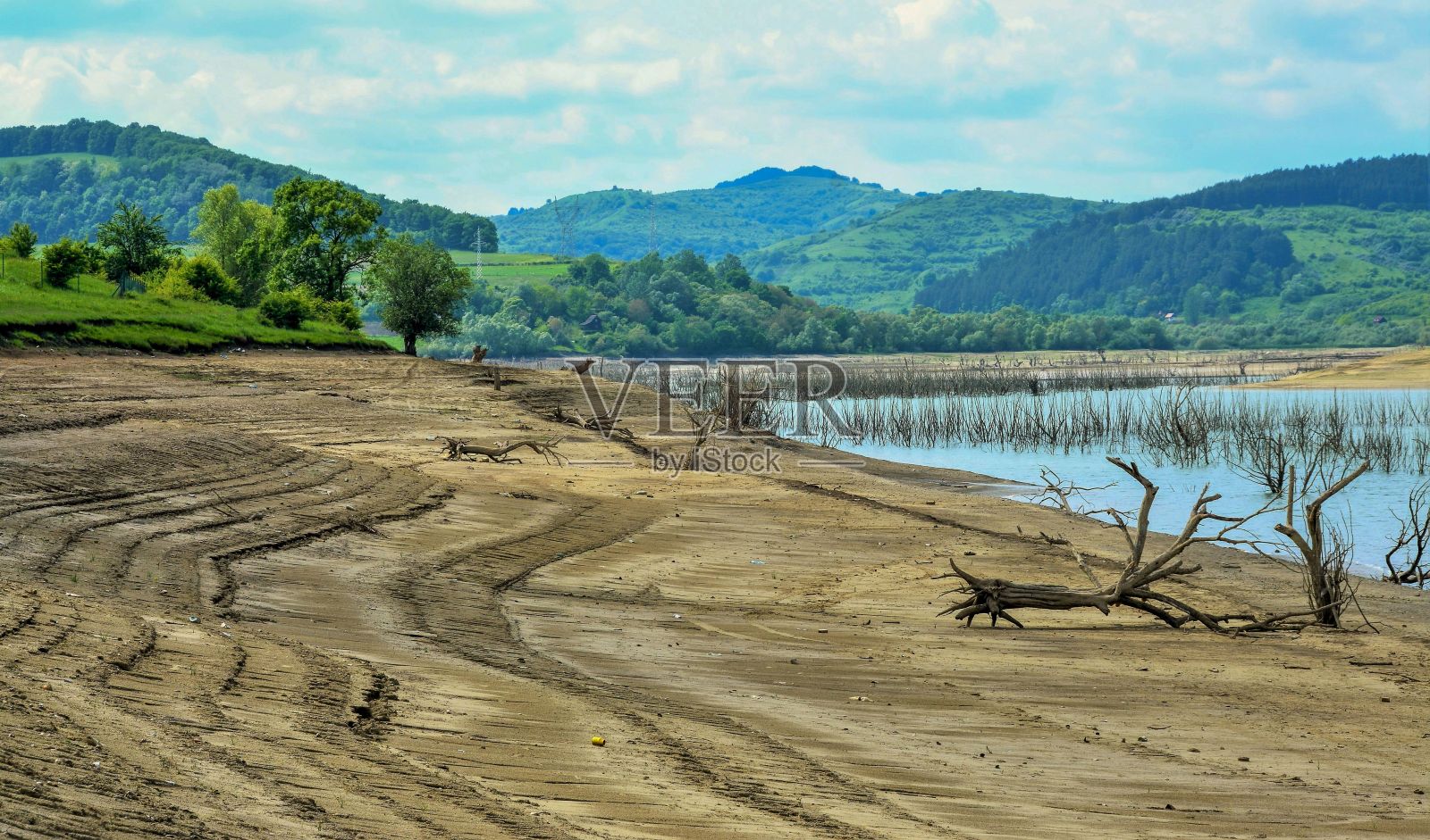 湖岸景观与树干和低水位由于干旱照片摄影图片
