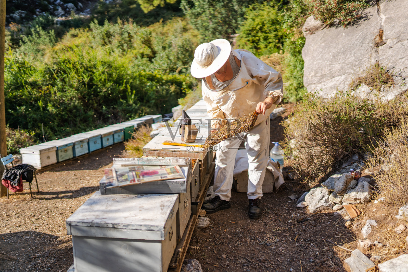 养蜂人养蜜蜂酿蜜的形象照片摄影图片