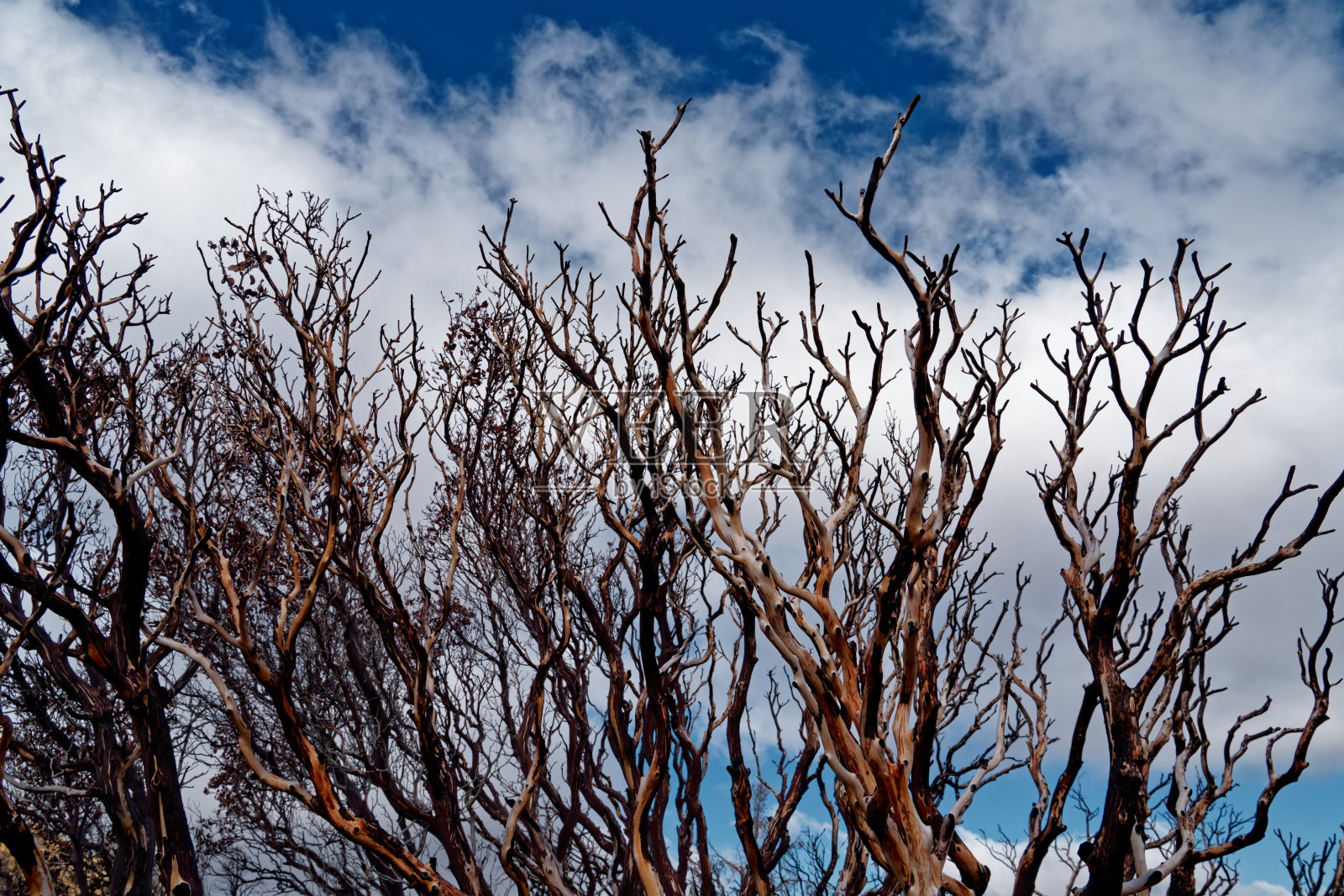 在南加州崎岖的荒野中徒步旅行照片摄影图片