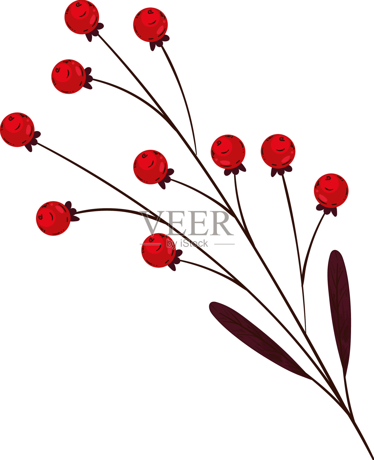 树枝上的浆果设计元素图片