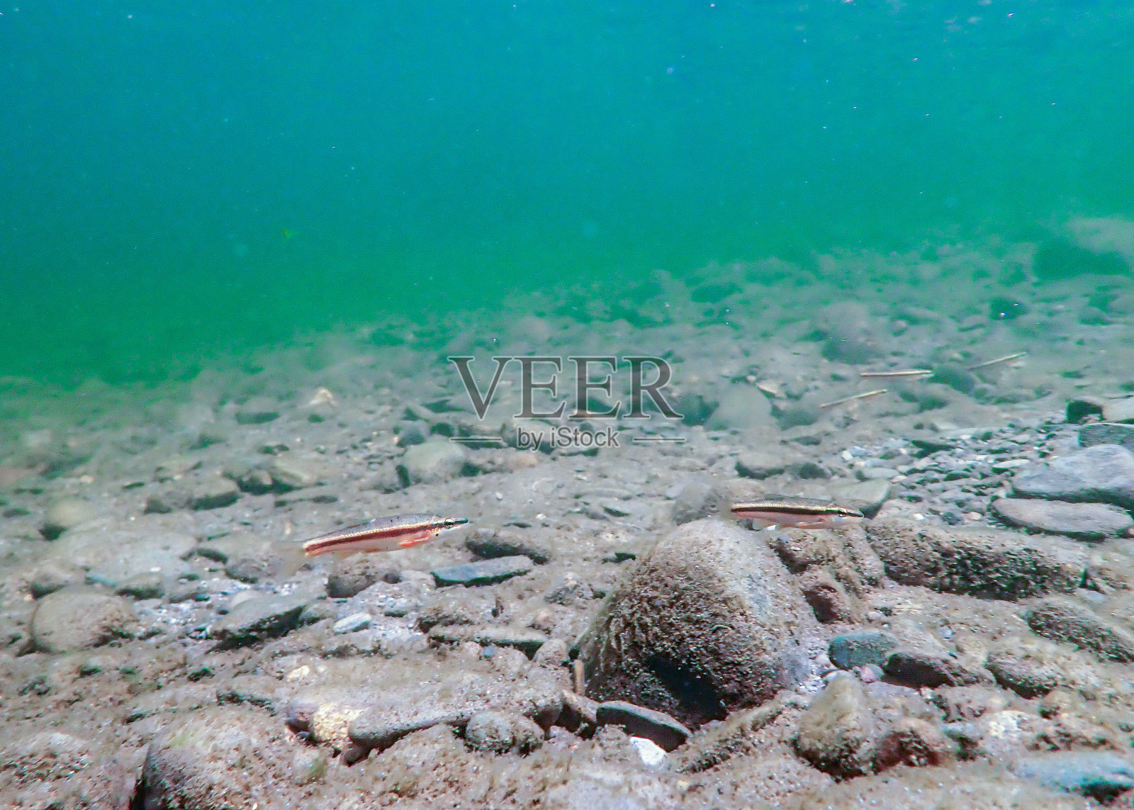 水下景观照片摄影图片