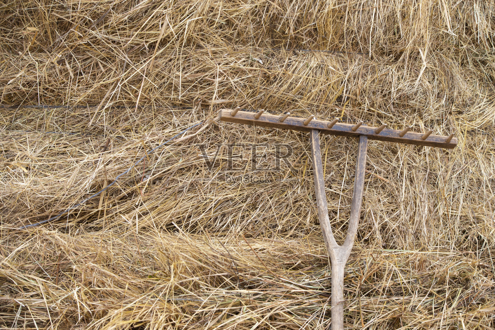 一把老式耙子放在稻草上。乡村背景与稻草。照片摄影图片