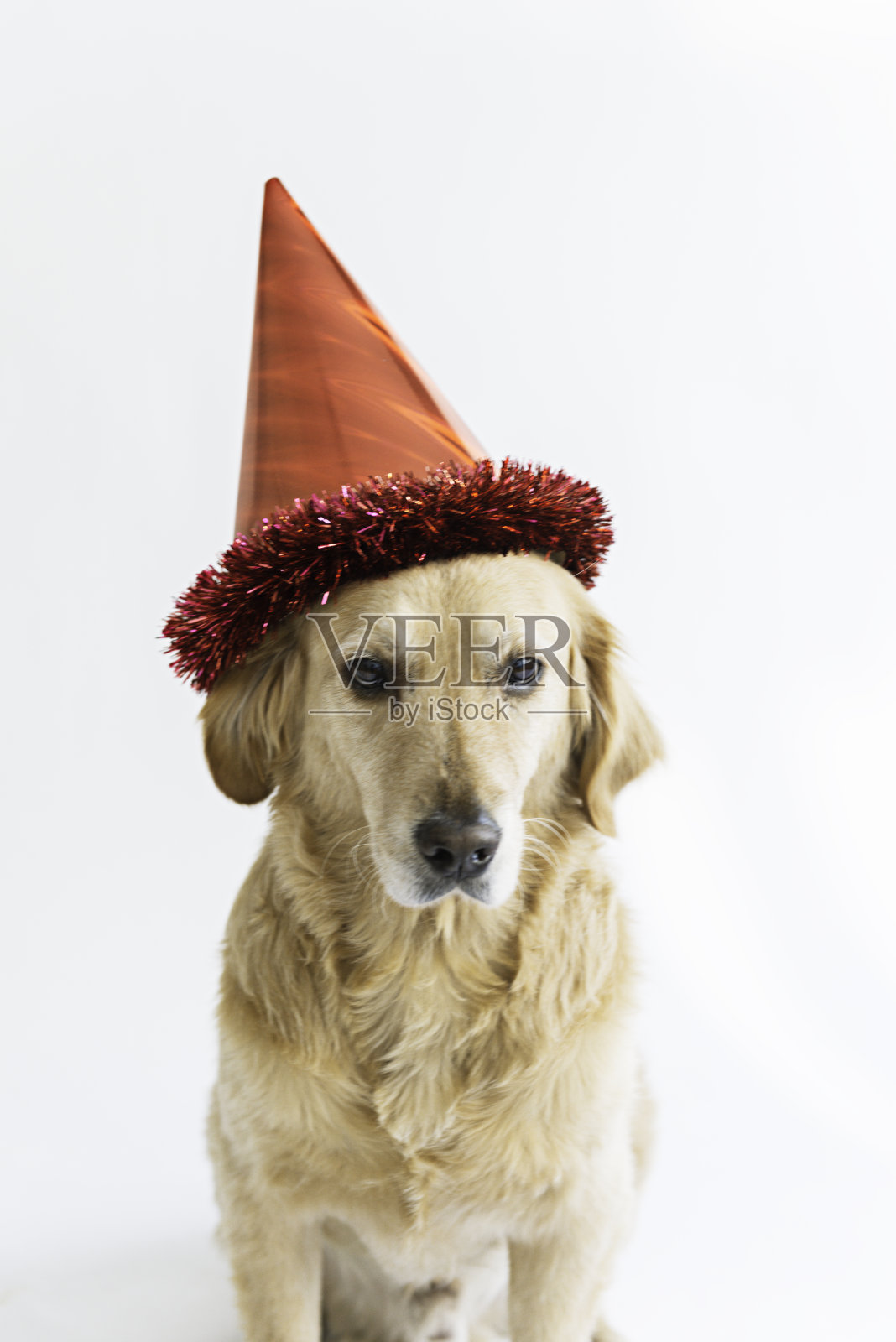 当派对结束时照片摄影图片