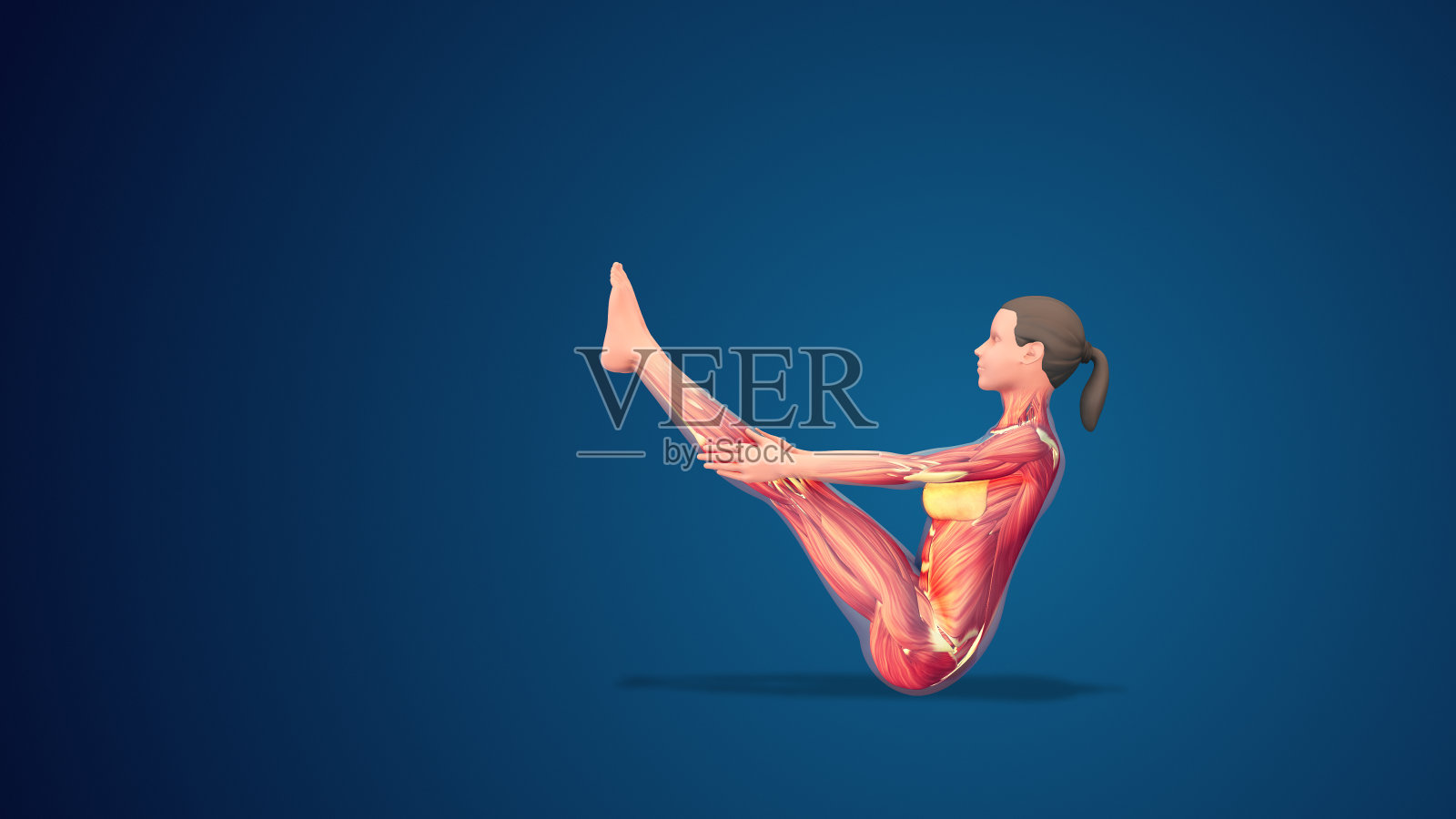 蓝色背景的3D人体纳瓦式或船瑜伽姿势照片摄影图片