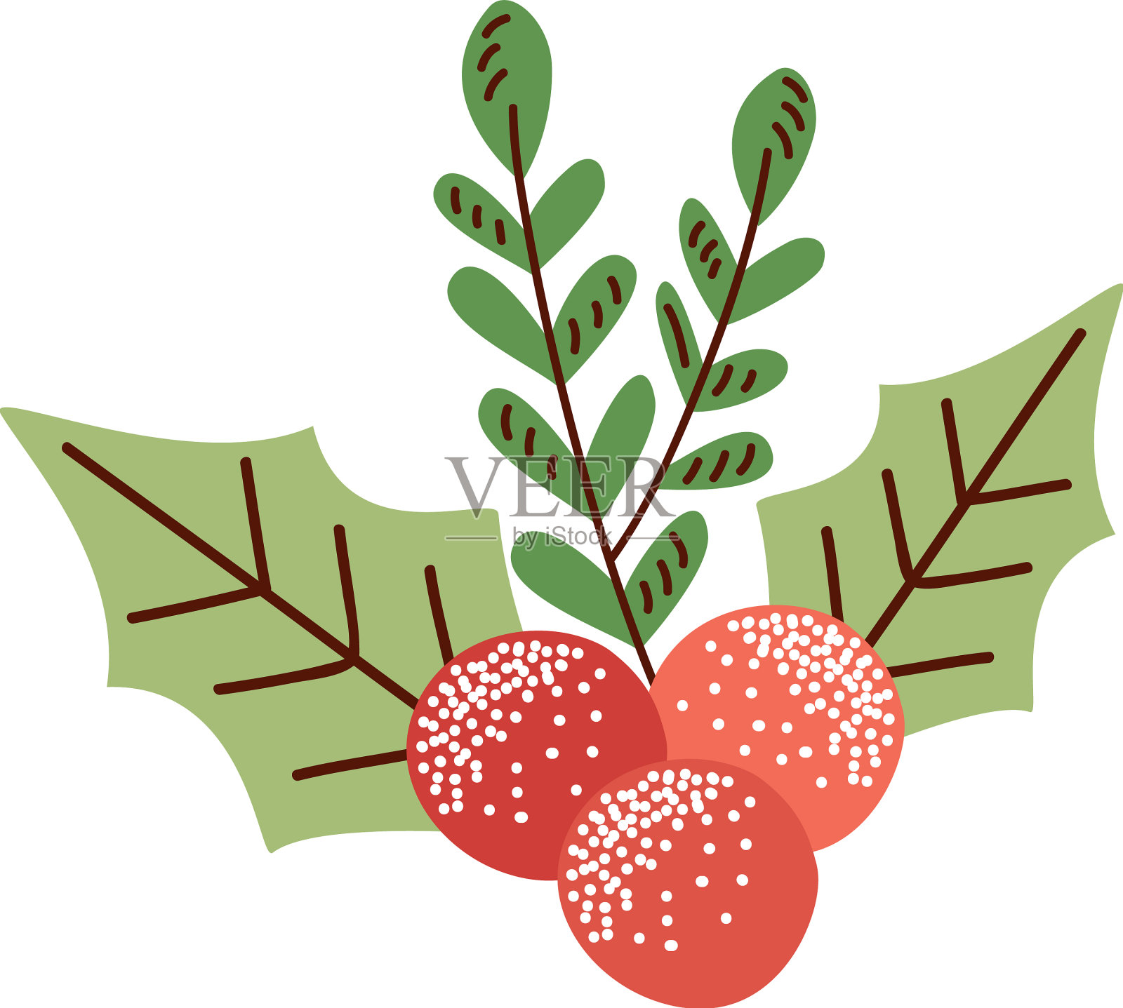 圣诞种子和叶子设计元素图片