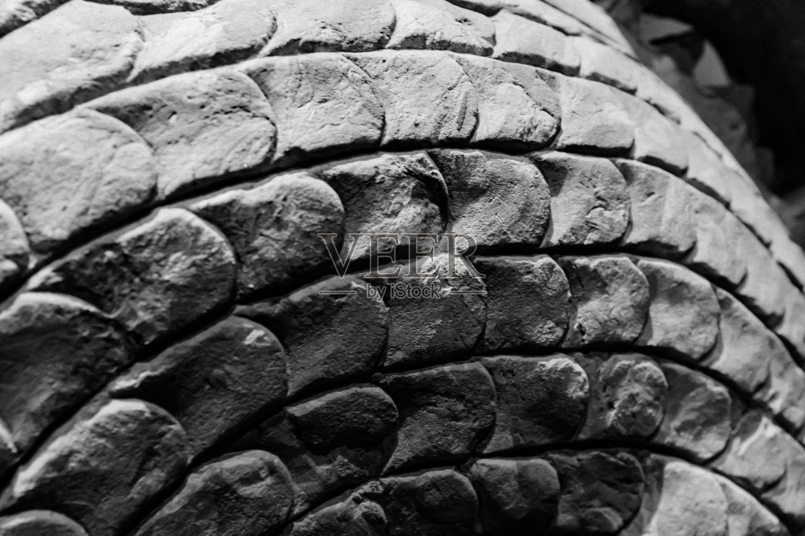 麒麟石雕鳞片的局部细节照片摄影图片