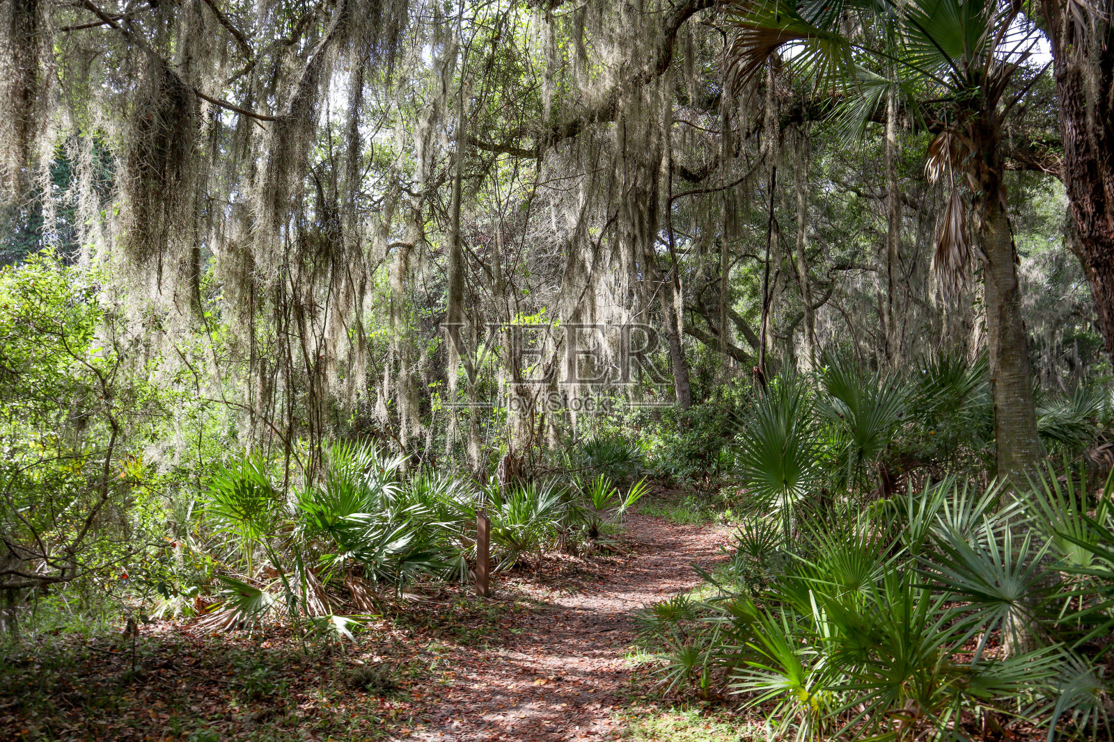 走进魔法照片摄影图片